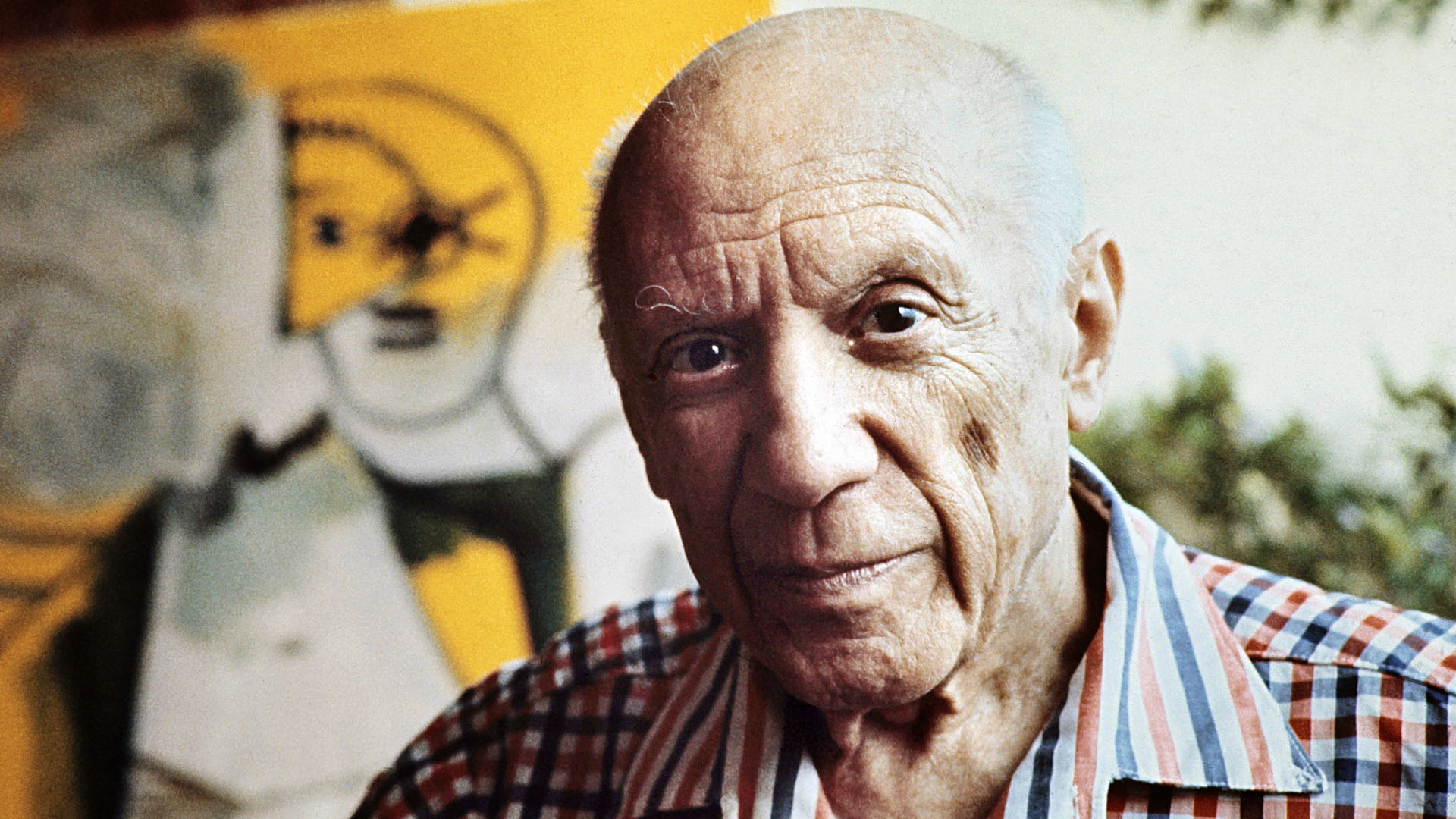 Picasso (Ralph Gatti)