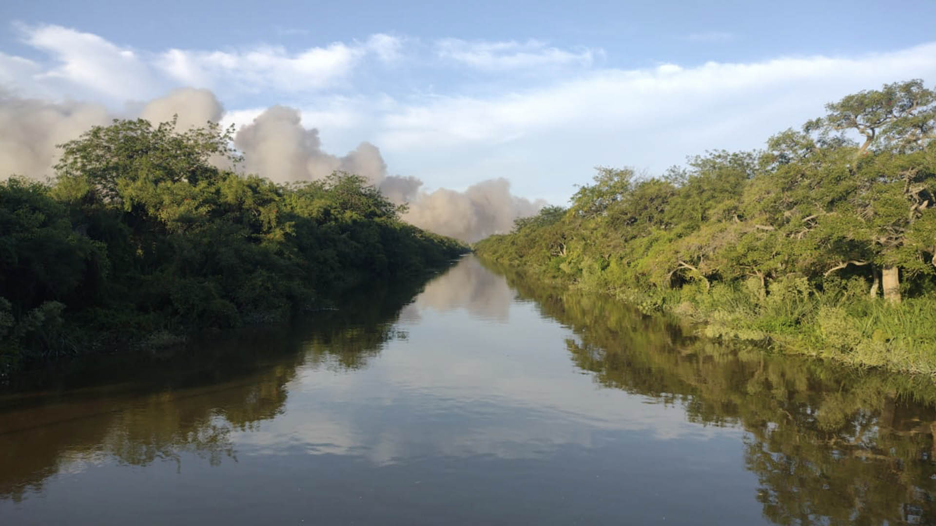 Fuego, humo y cenizas: un fuerte incendio forestal arrasa con parte de la reserva natural de Punta Lara