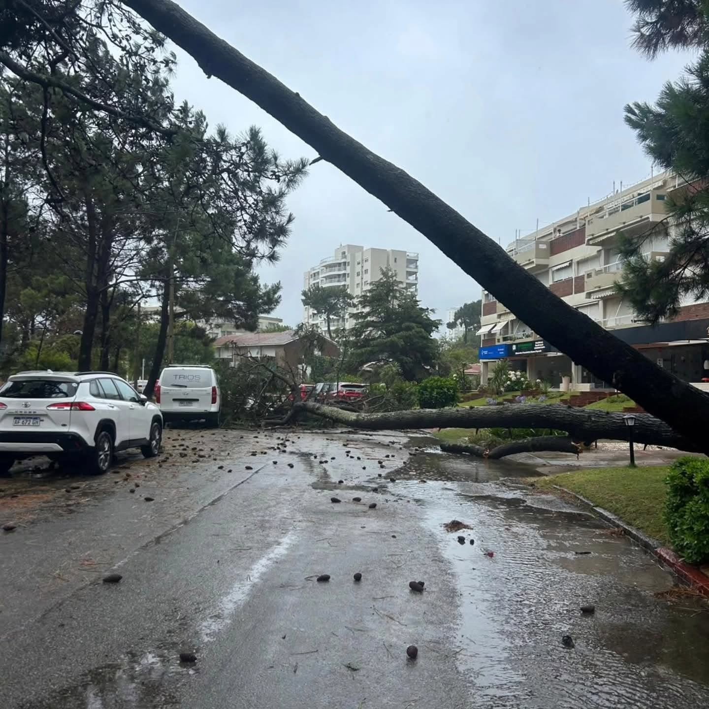 Privatizaciones: las concesionarias asumieron y ya operan las represas del Comahue