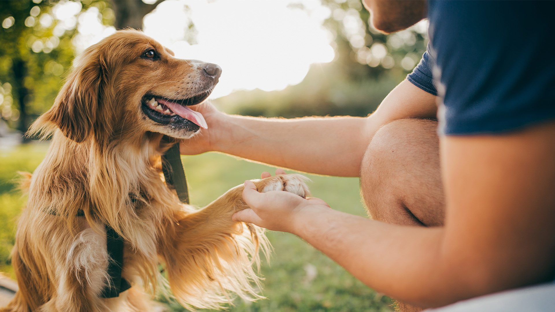 Los perros “leen” la expresión humana y son capaces de querer comunicarse a través de su actitud corporal y gestual (Getty Images)