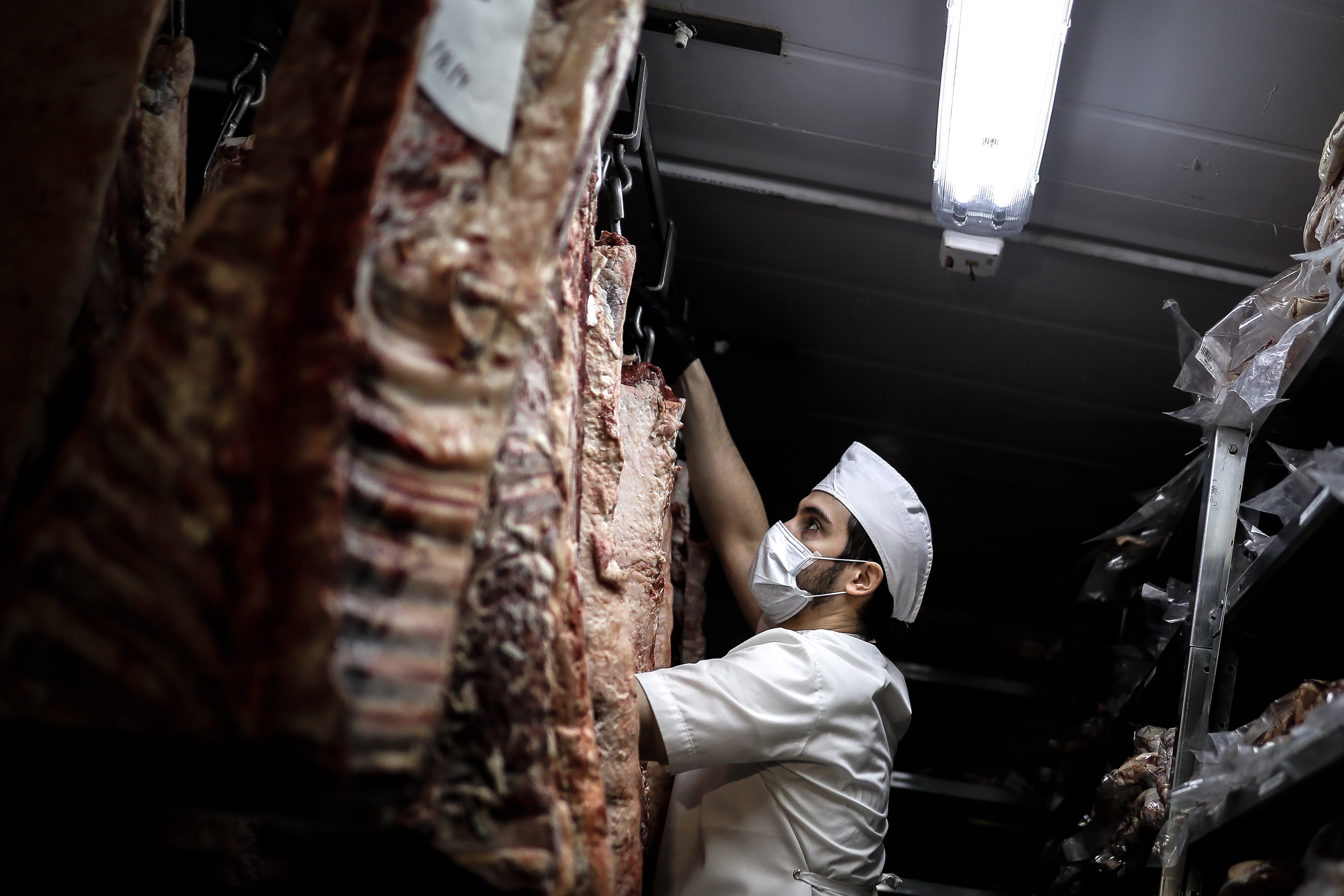Según los datos más recientes del Departamento de Agricultura de Estados Unidos, Argentina es el quinto productor y el cuarto exportador mundial de carne vacuna. EFE/Juan Ignacio Roncoroni/Archivo
