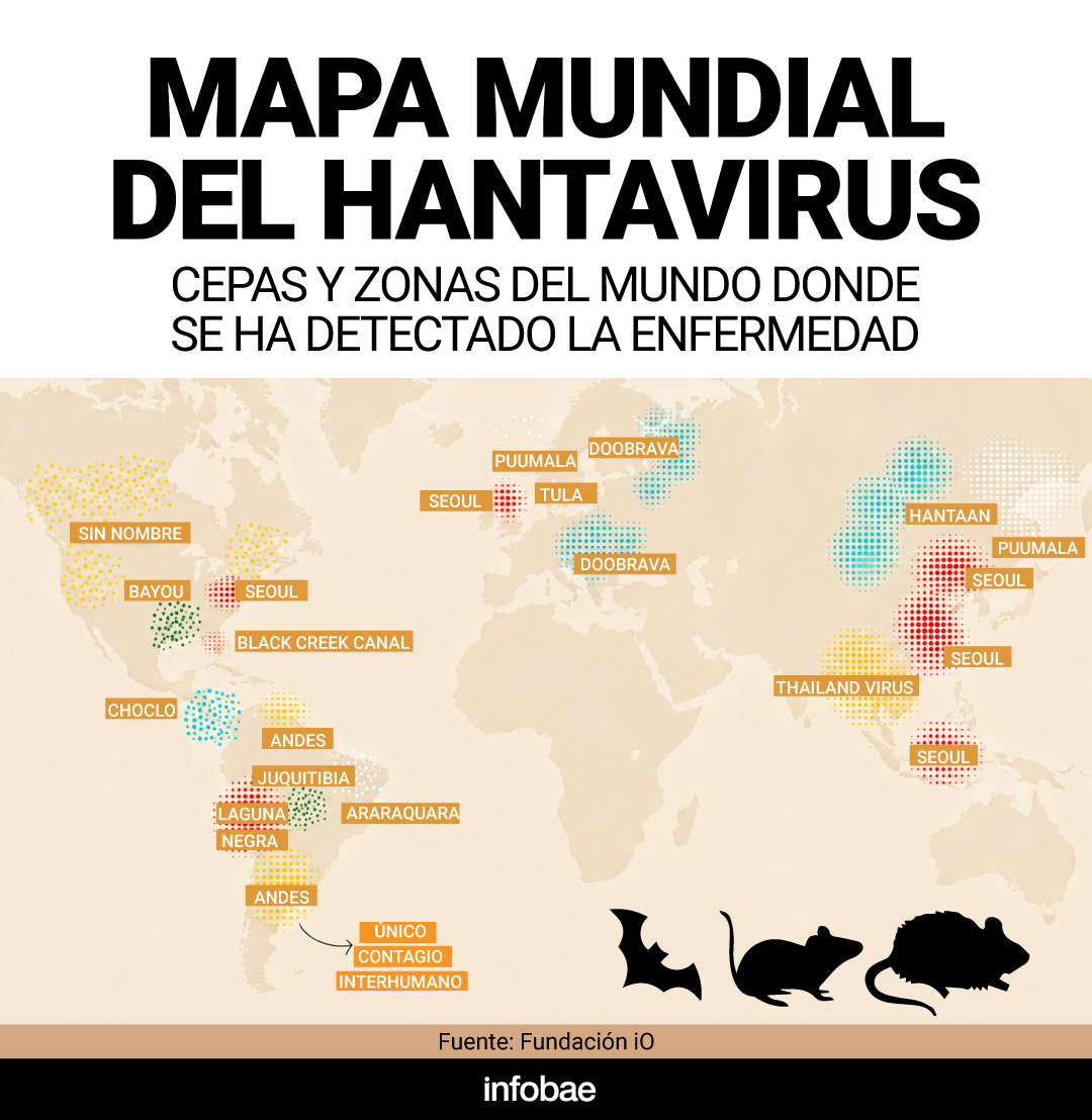 infografia