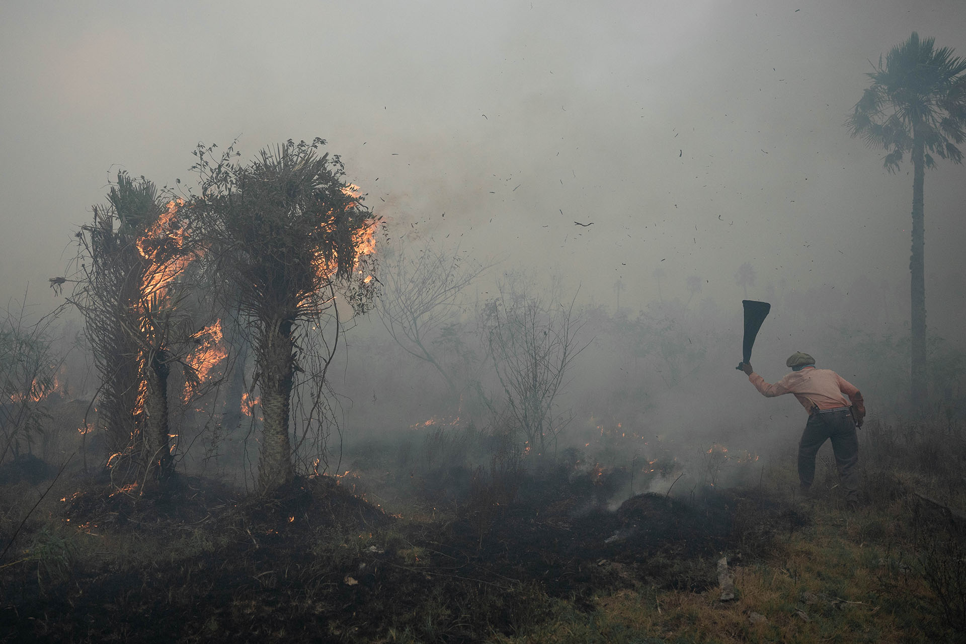 Un productor combate el fuego en Corrientes este domingo (Foto: Franco Fafasuli)


