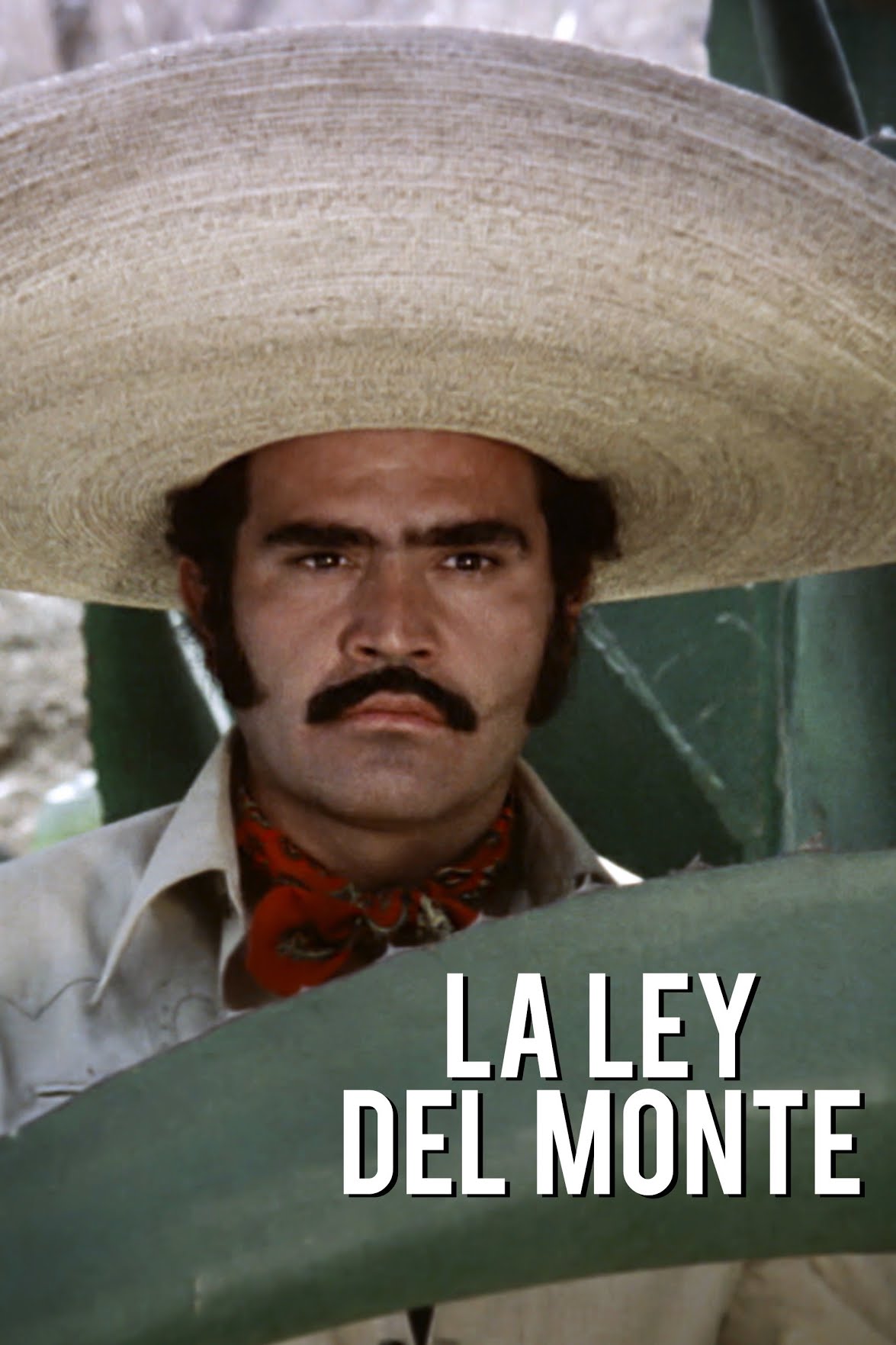 Tras su debut, Vicente Fenrández hizo más películas como "La ley del monte", "El albañil", "El hijo del pueblo", entre muchas más