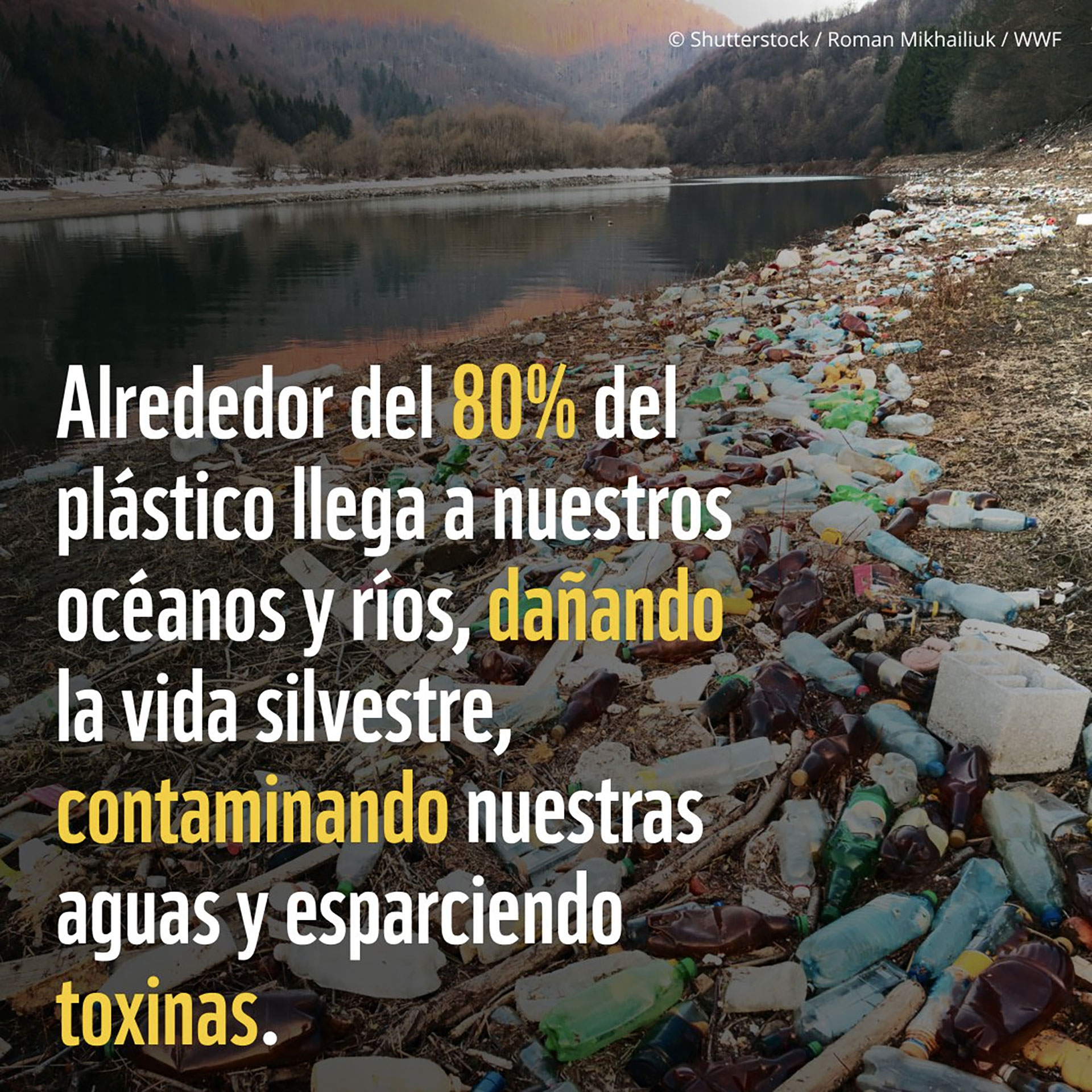En 2021 se comercializaron 369 millones de toneladas de plástico en todo el mundo, cifra que podría traducirse en “más de 18 millones de camiones” / (Gentileza: Fundación Vida Silvestre Argentina)