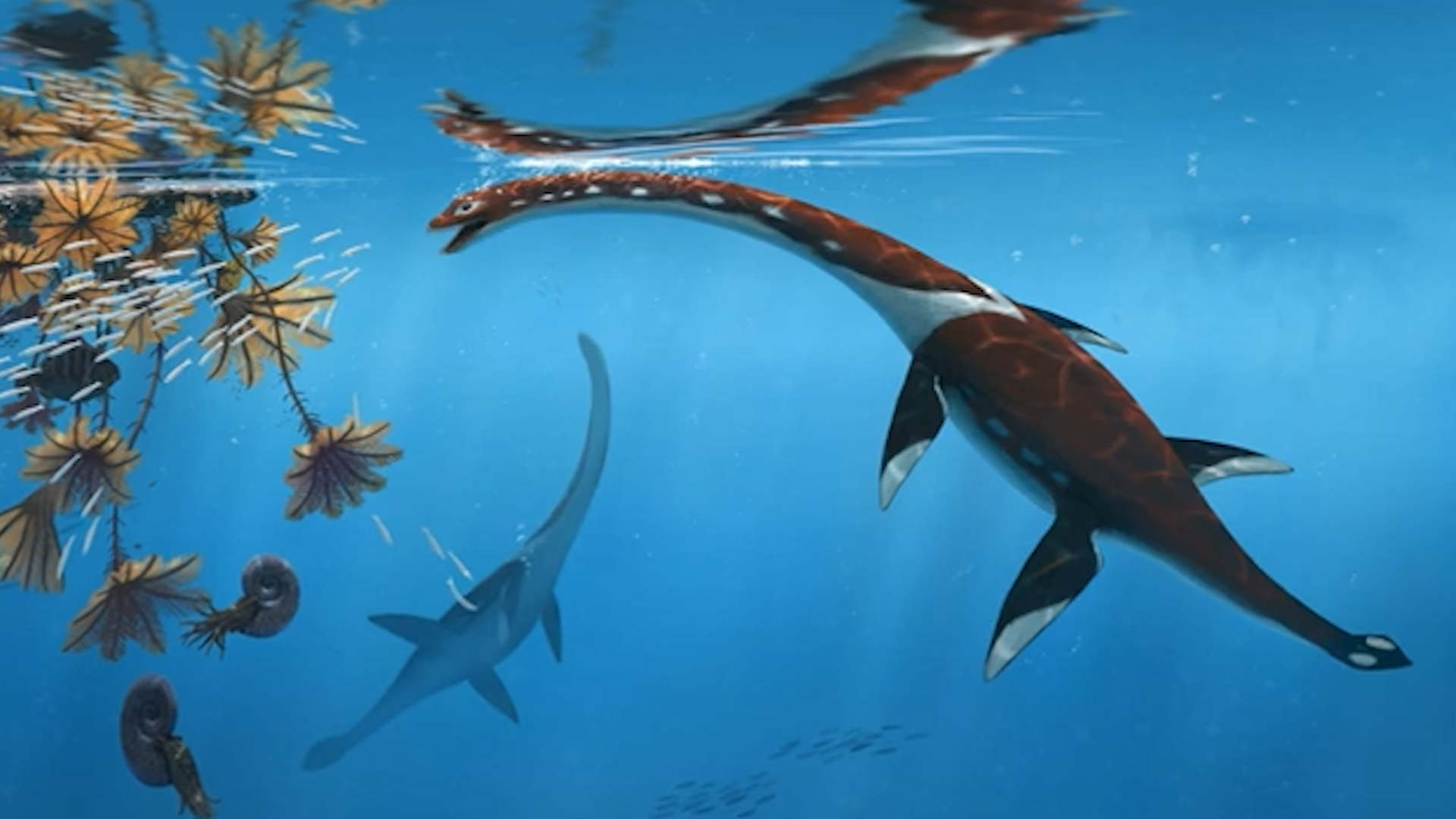 Un fósil olvidado durante décadas permitió descubrir una nueva especie jurásica en Alemania