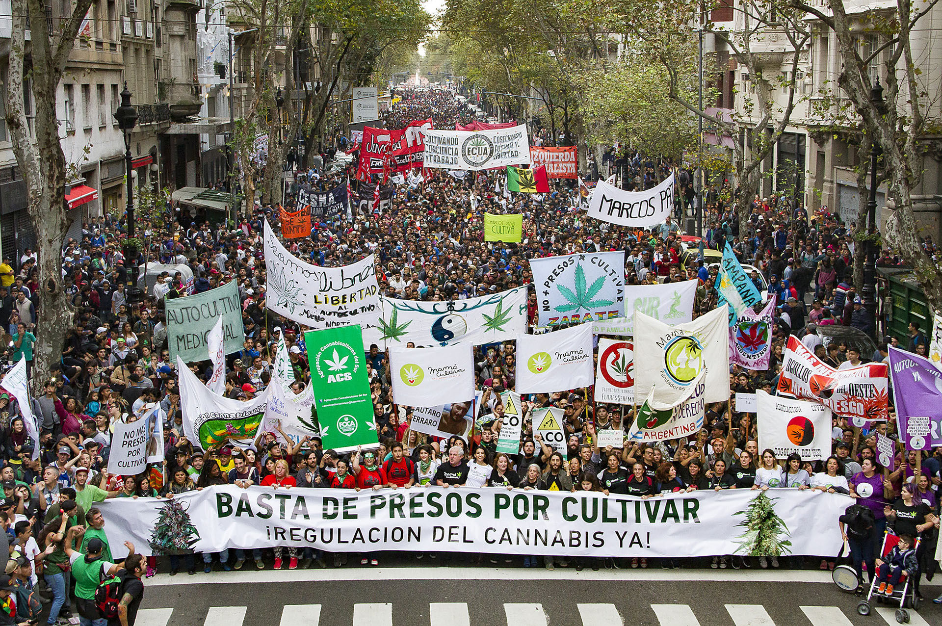 En Buenos Aires todos los años se realiza una marcha para pedir el fin de las detenciones a consumidores y la regulación del uso y el cultivo de cannabis (Foto: Revista THC)