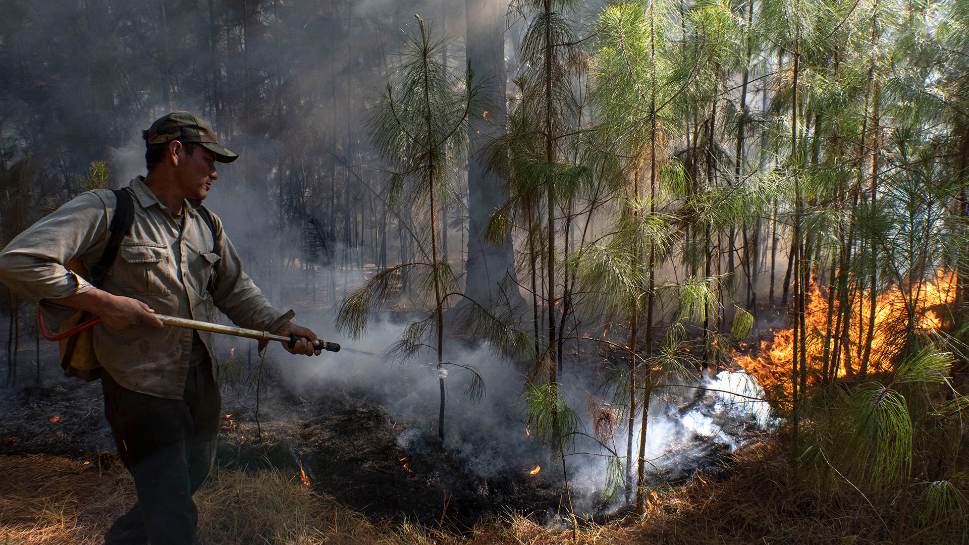 El fuego en Corrientes ya consumió el 10% de su territorio