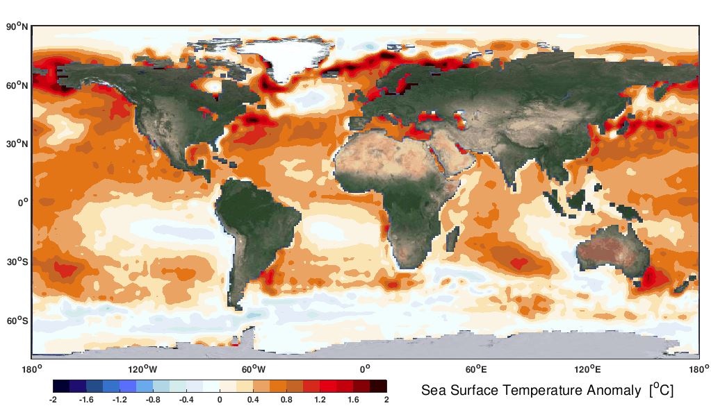 El calentamiento global perjudica a los parásitos marinos y al ecosistema oceánico