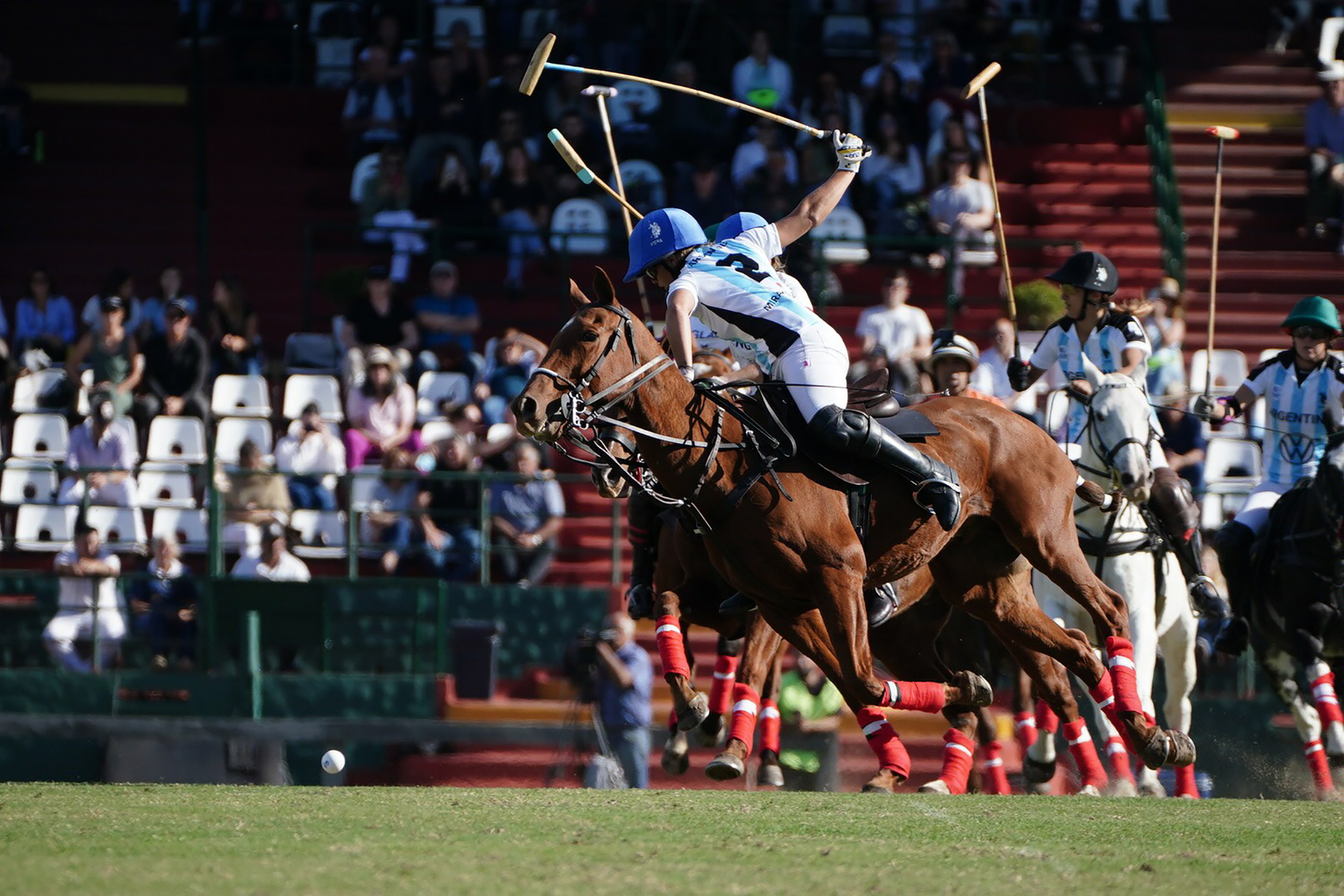 Argentina es potencia mundial en polo (Franco Fafasuli)