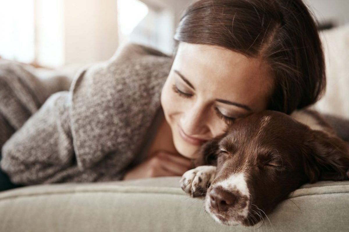 Soñar con perros: qué significado interpretación este sueño Infobae