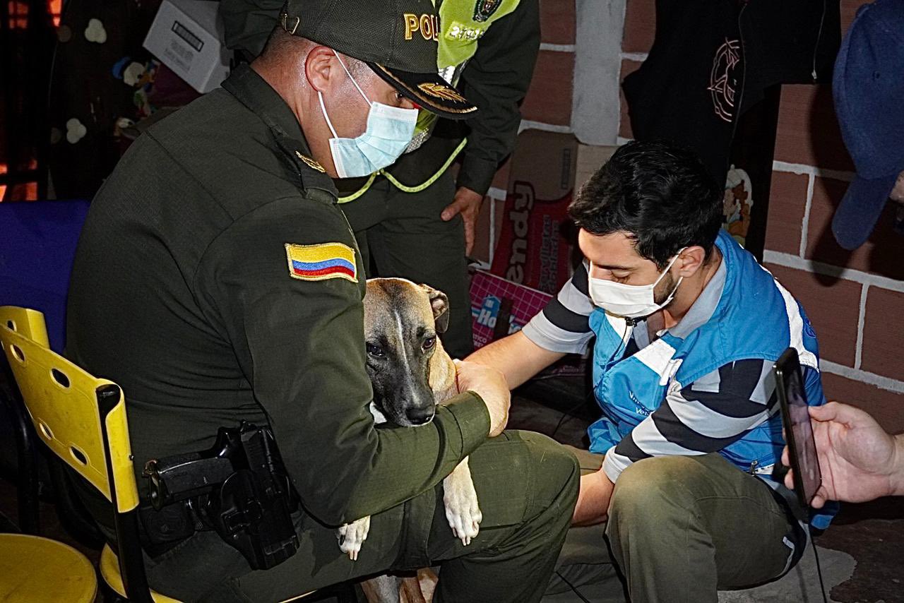 Nuevo caso de maltrato animal en Villavicencio, Meta: Policía rescata a perro golpeado por su dueño