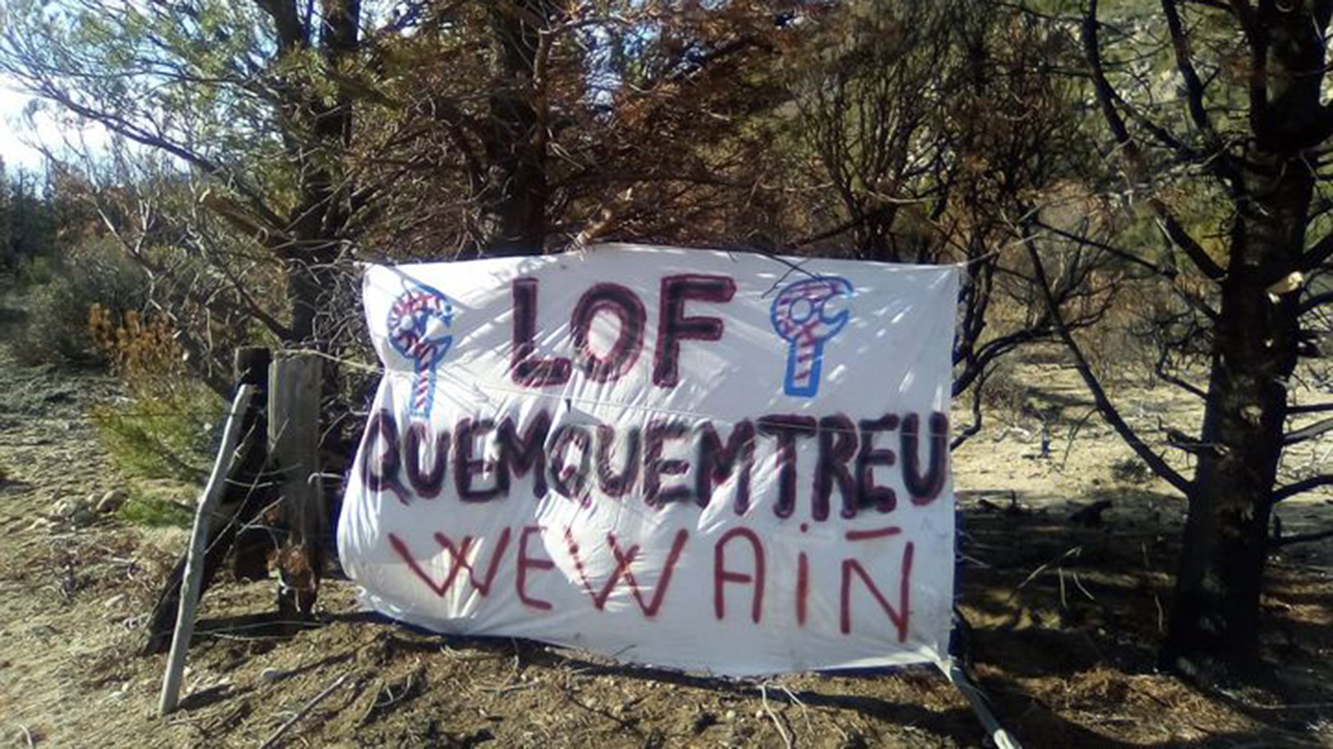 Terreno usurpado por la autodenominada comunidad mapuche Lof Quemquemtreu