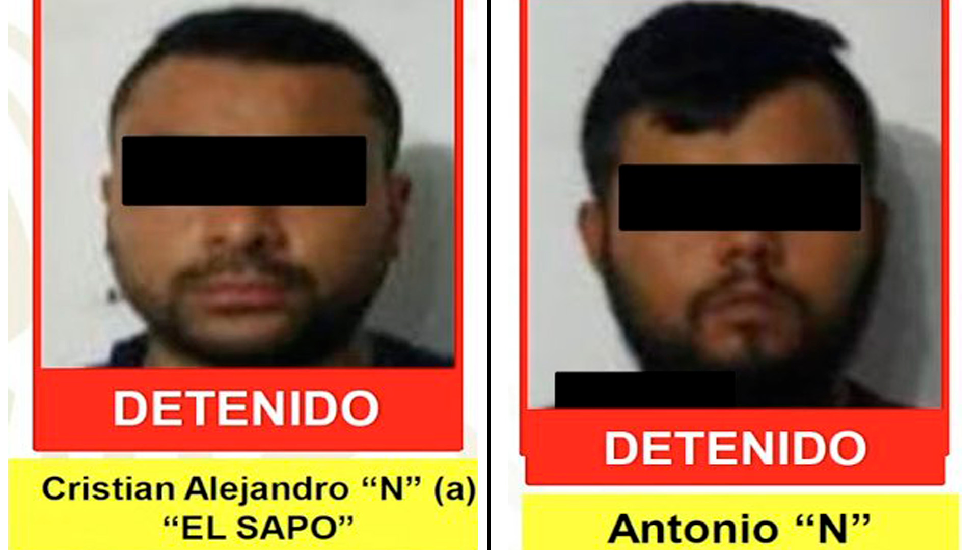 Sedena detuvo a dos integrantes del grupo criminal “Pájaros Sierra”, involucrados en la masacre de San José de Gracia en Michoacán dónde el crimen desapareció los cuerpos