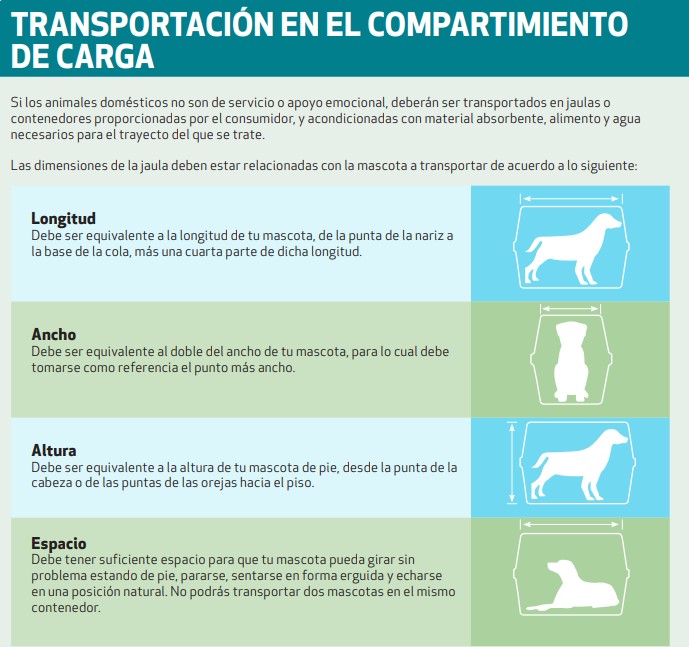 Características de las transportadoras para animales que viajan en cabinas (Profeco)