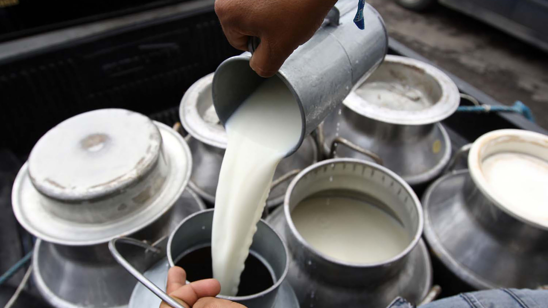 La leche no subirá de precio este 2023, aclaró la Asociación Nacional de Productores de Leche, Analac  
