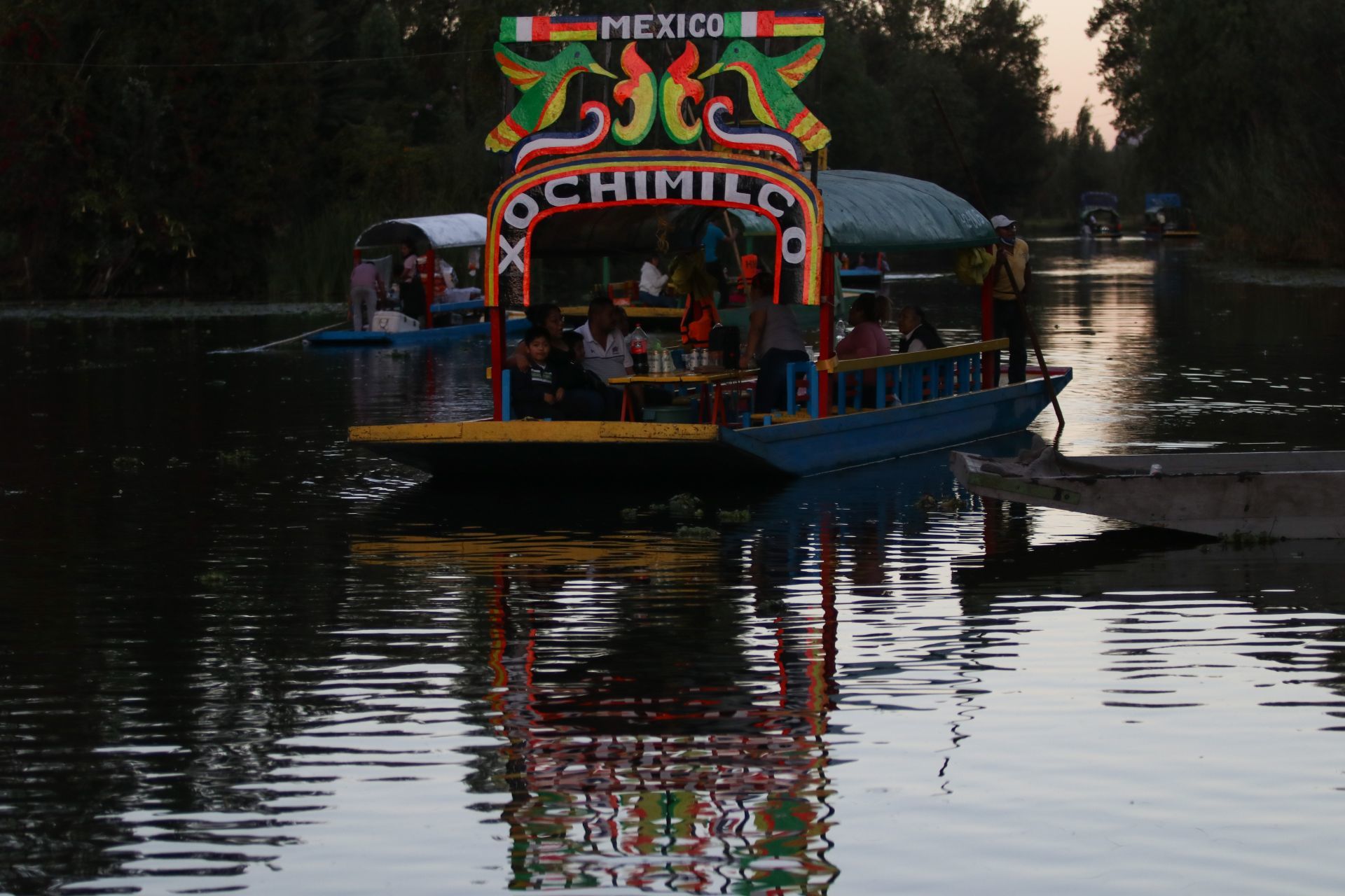 El varano del Nilo deambulaba por los embarcaderos de Xochimilco FOTO: CUARTOSCURO.COM