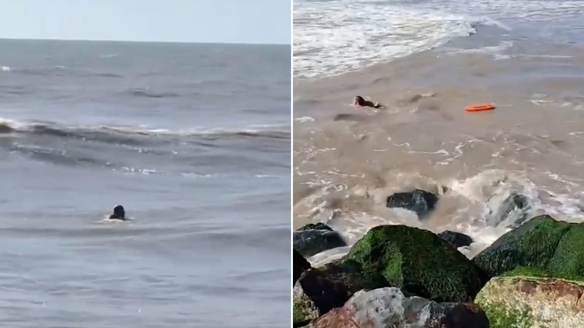 Verano 2026: cuánto se gasta en combustible y peajes para ir en auto a la Costa Atlántica