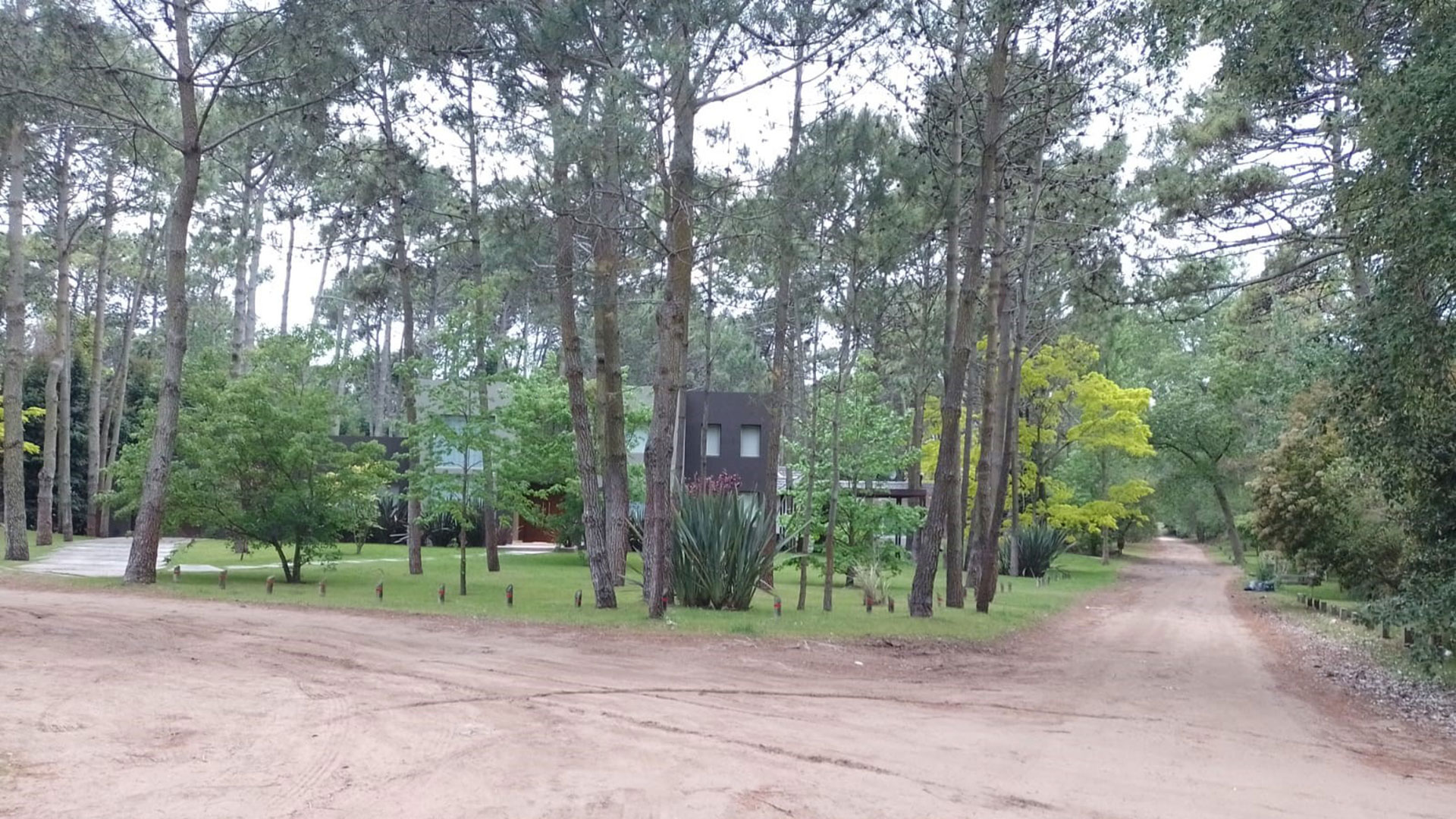 Intersección de las calles Ñandubay y Hornero en pleno Cariló, donde el bosque es protagonista