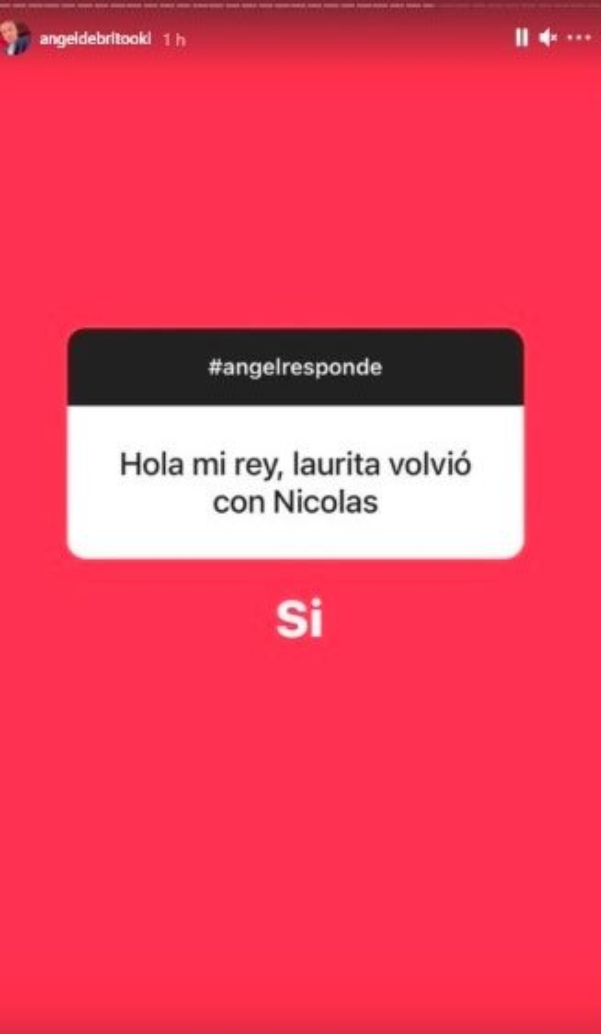 Qué dijo Laurita Fernández sobre la posibilidad de un futuro embarazo luego  de la supuesta reconciliación con Nicolás Cabré - Infobae