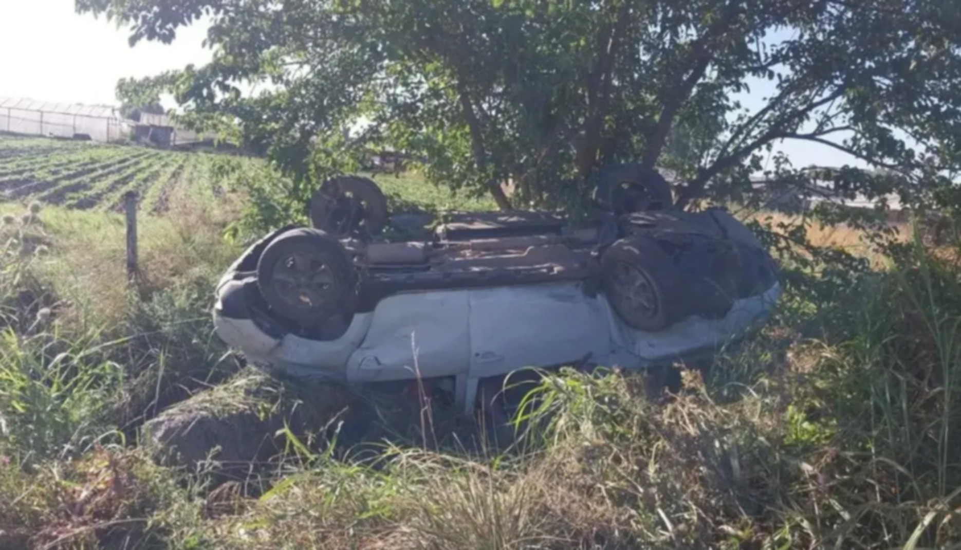 Residencias de médicos extranjeros: un senador pidió que paguen una cuota y sean distribuidos por todo el país