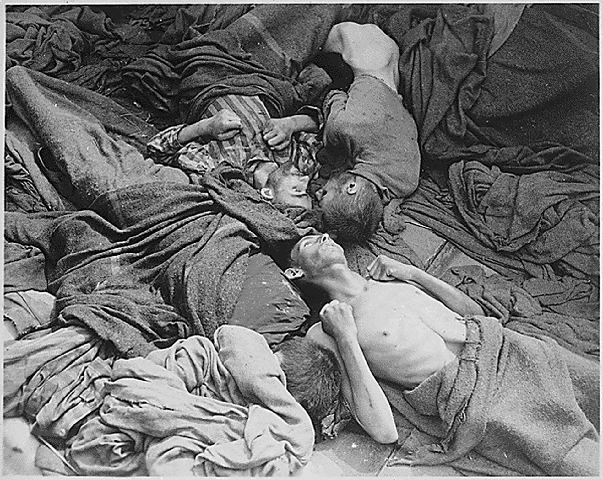 Los cuerpos convertidos en esqueletos de prisioneros eran transportados a Dachau desde otro campo de concentración y yacían grotescamente mientras morían en el camino (Danvis Collection)
