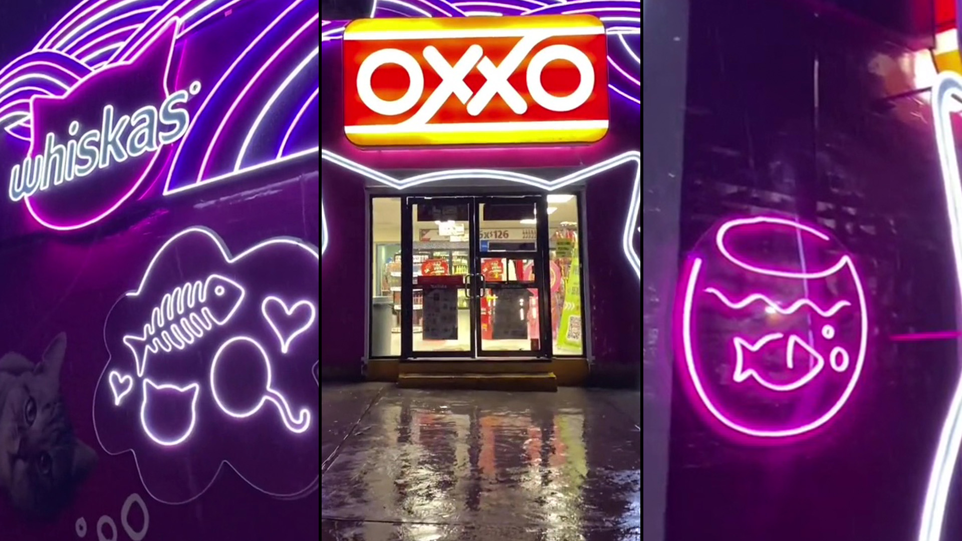 Dónde se encuentra el “michi-Oxxo”, la tienda con temática de gatos que se  volvió viral en redes sociales - Infobae