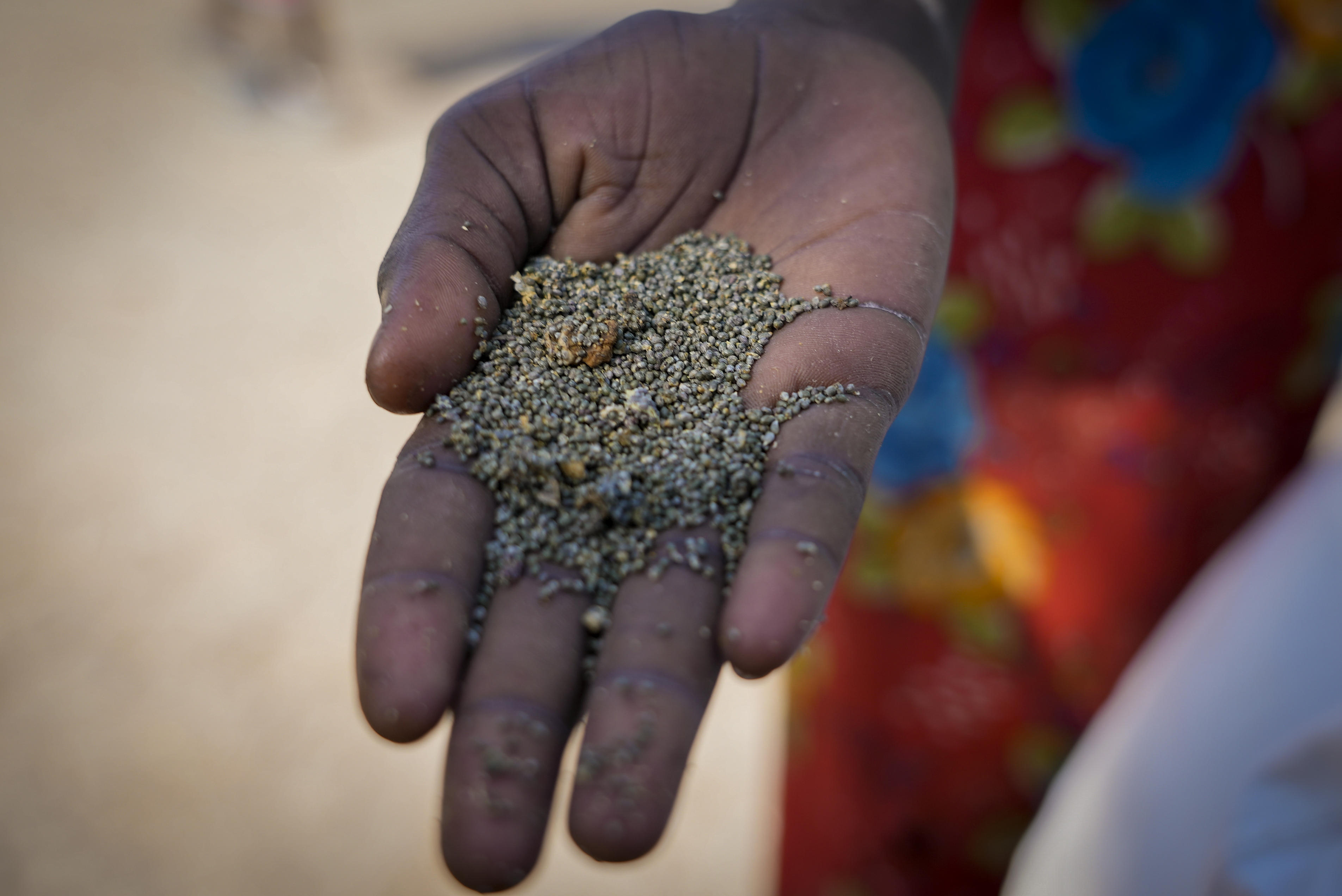 En 2021, cerca de 193 millones de persona sufrieron de severa inseguridad alimentaria en 53 países del mundo, 40 millones de personas más en un año.