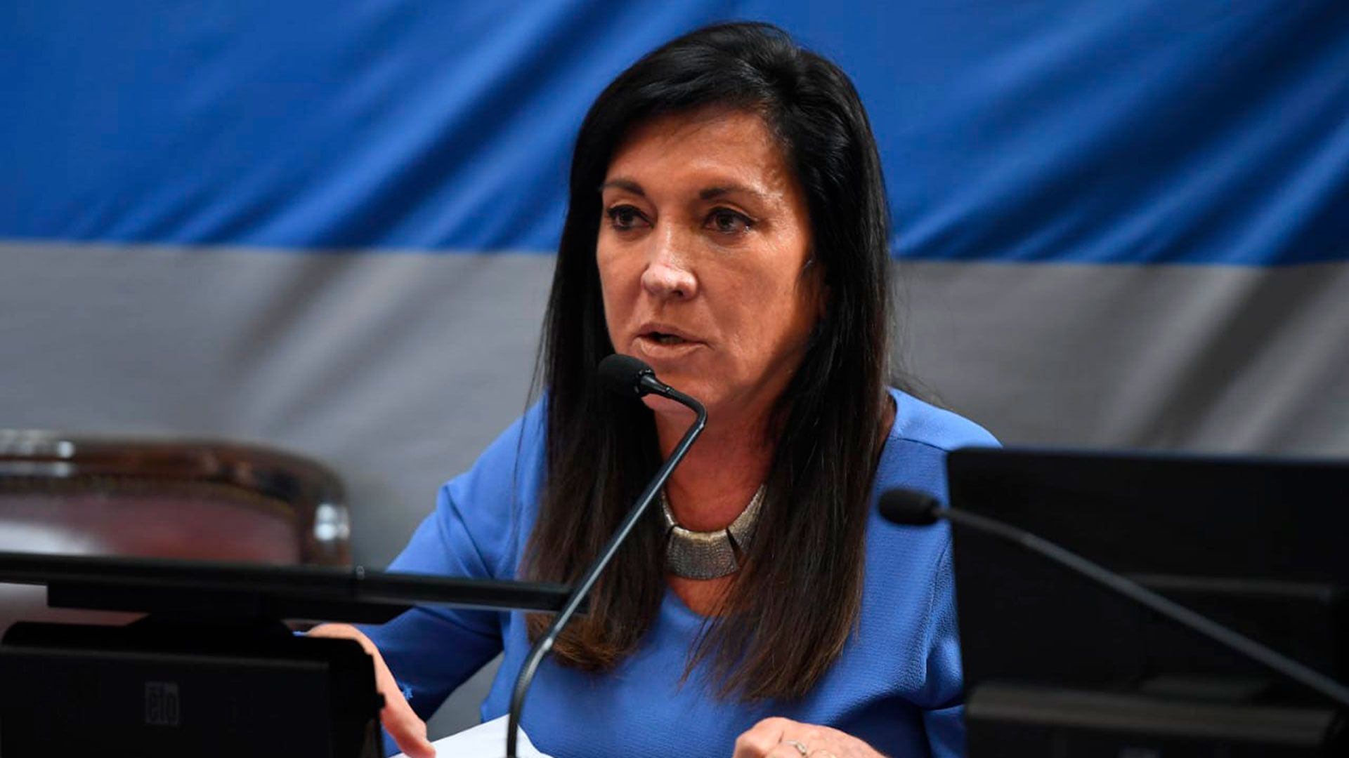 Laura Rodríguez Machado, senadora de Juntos por el Cambio que quiere ir por la reelección