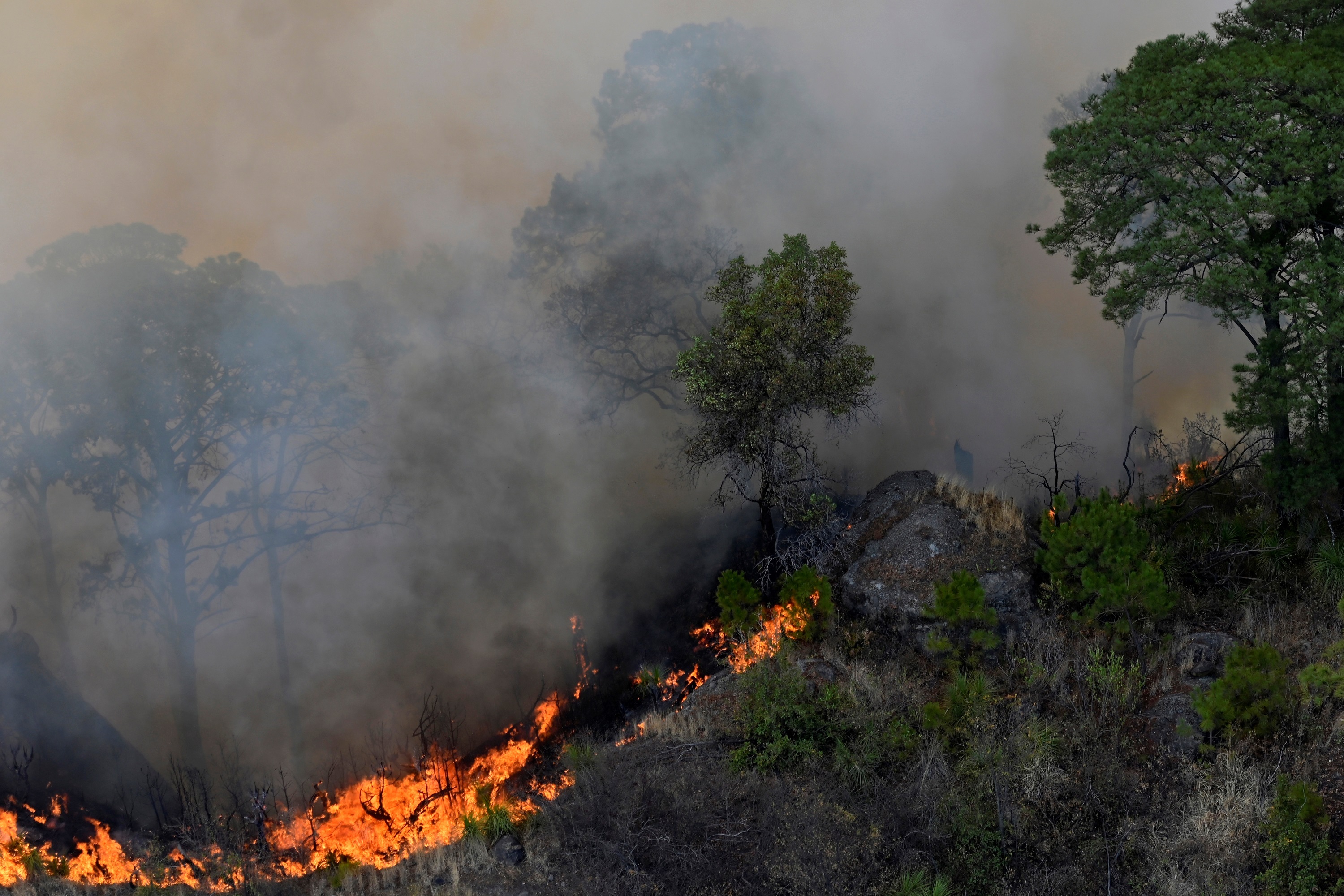 La Comisión Nacional Forestal precisó que de los 73 incendios forestales activos, que son atendidos por 3,895 combatientes, 22 incendios están liquidados, es decir, ya no representan un riesgo de propagación del fuego. (Foto: EFE)