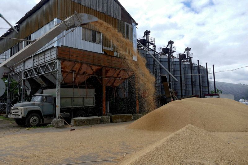 Un camión en una terminal de grano durante la cosecha de cebada en Ucrania. REUTERS/Igor Tkachenko