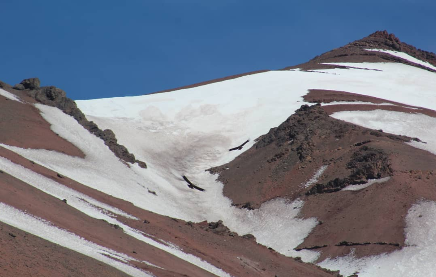 El Aconcagua es el cerro más alto del hemisferio occidental con 6.962 metros y esta temporada es la habilitada para ascensos