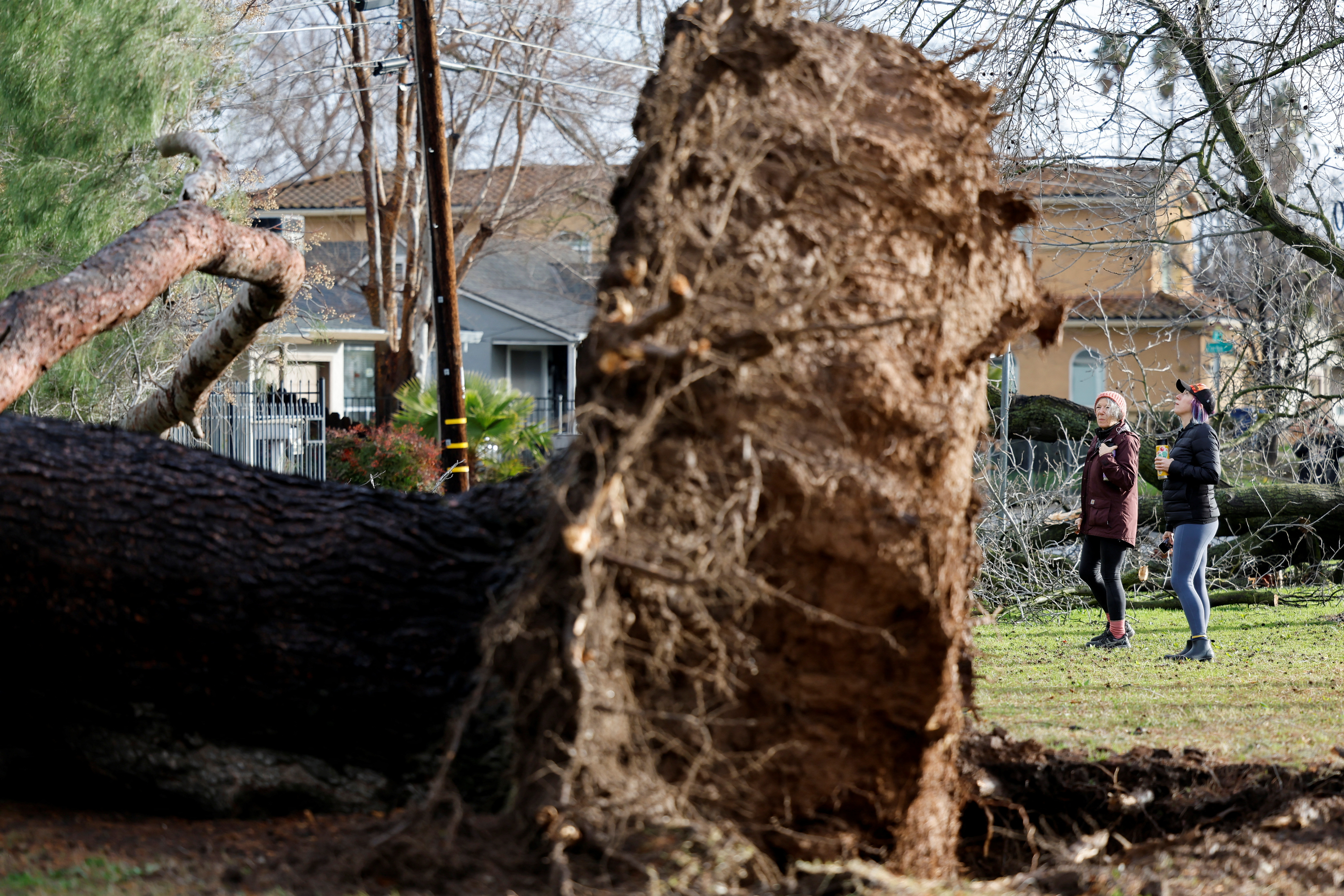 Residentes miran un árbol que cayó tras fuertes vientos durante una tormenta en Sacramento. REUTERS/Fred Greaves