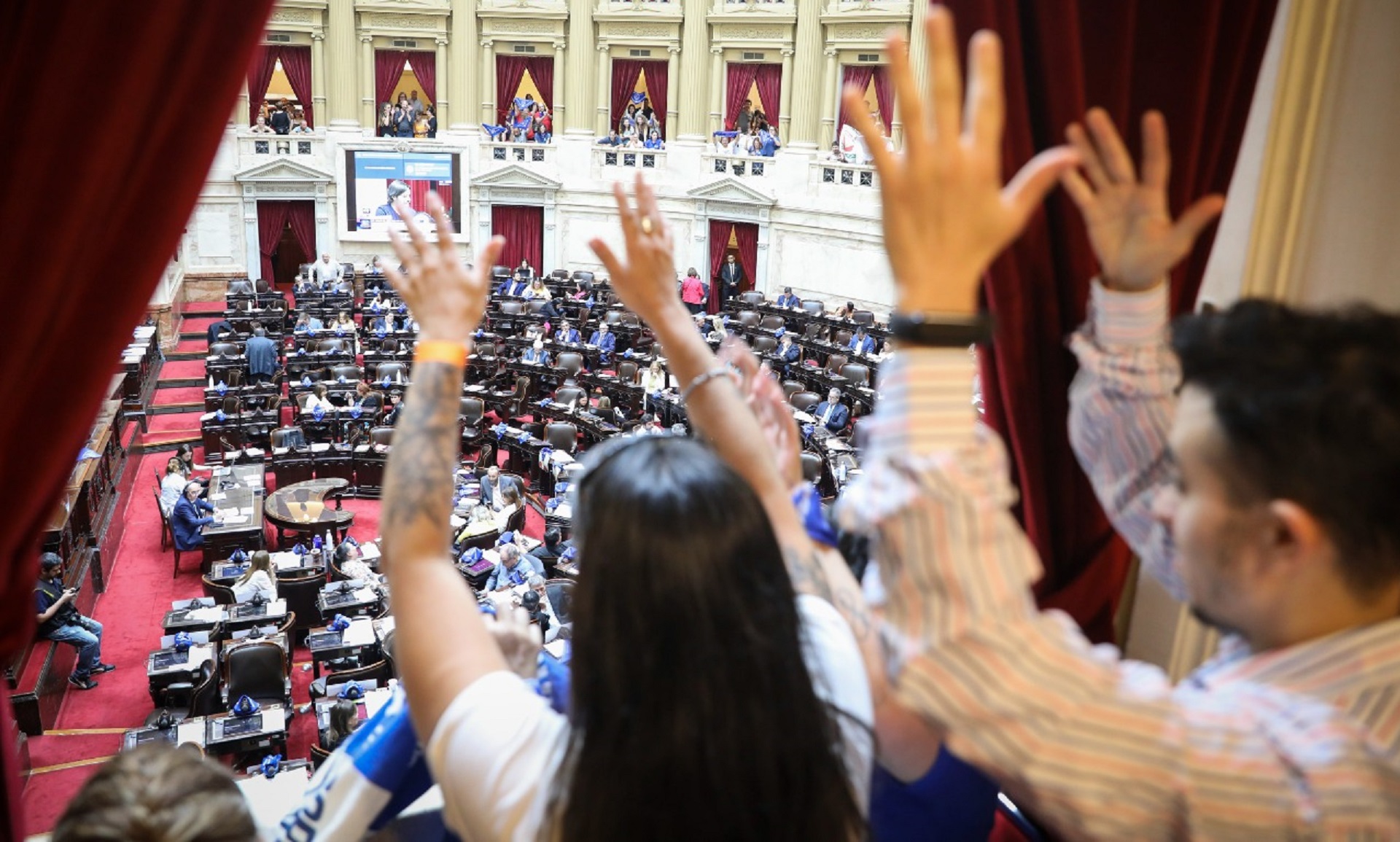 Se aprobó el proyecto que reconoce a la Lengua de Señas Argentina