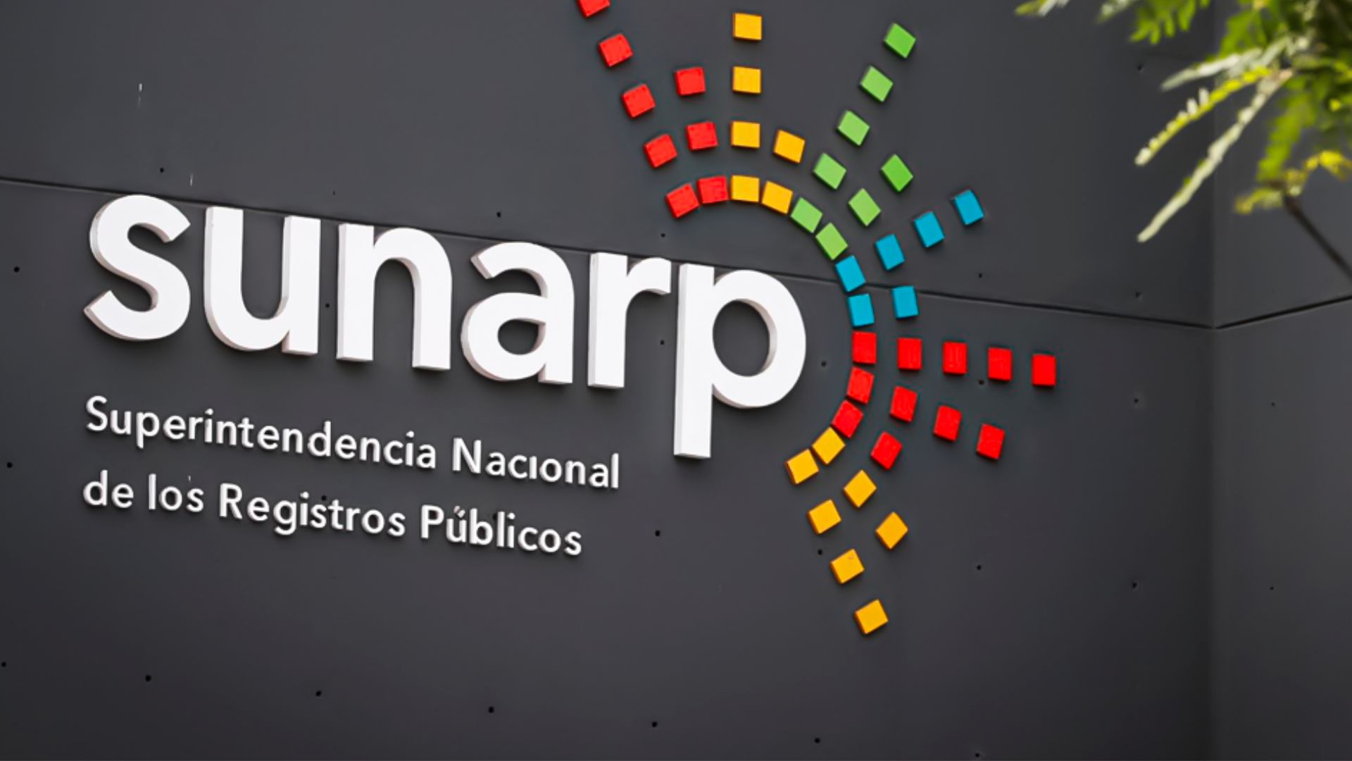 Paso A Paso Para Ver Gratis Las Partidas Registrales De Sunarp Infobae 0635