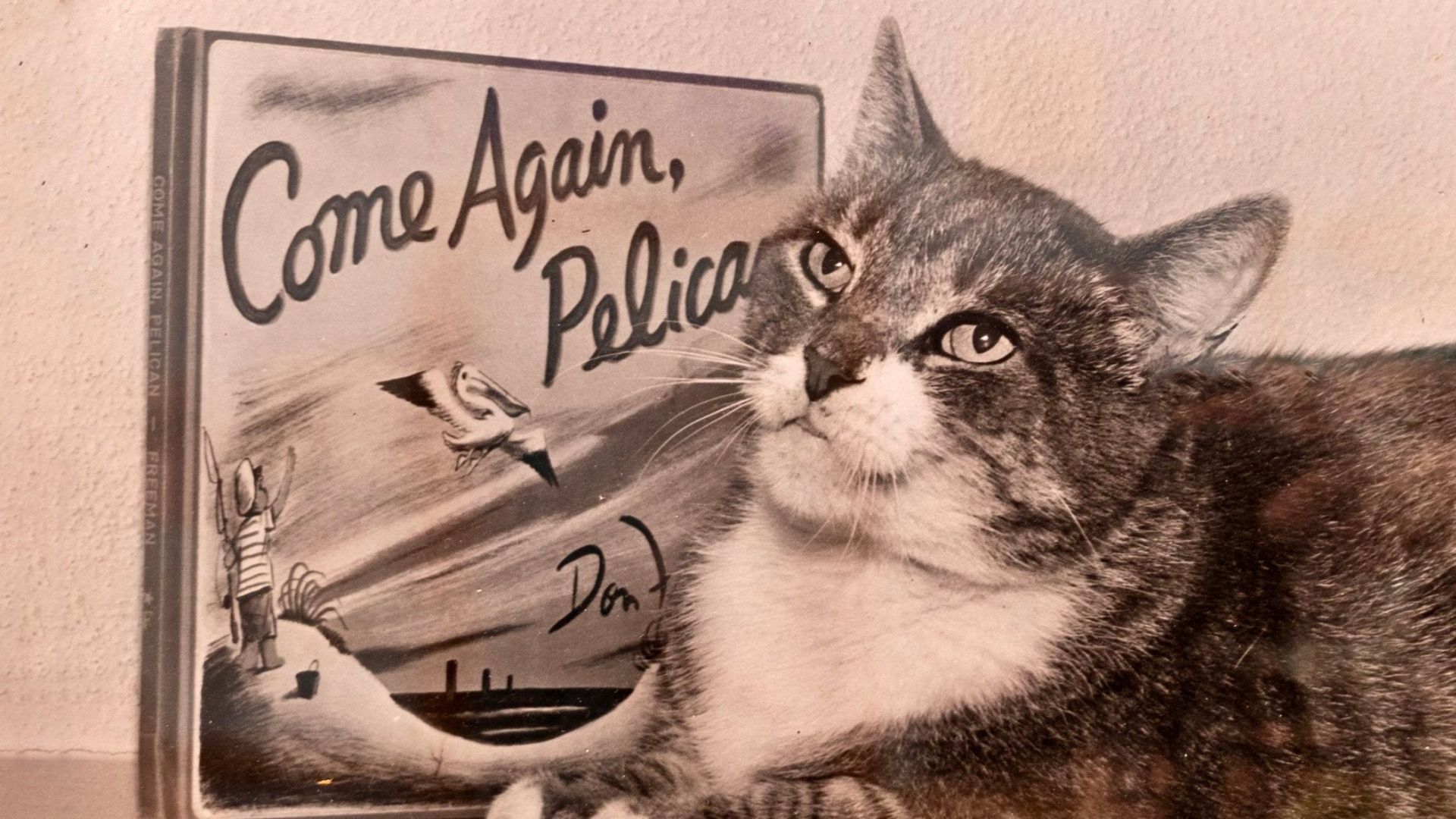 Juegos de gatos 🕹️ Juega en CrazyGames, image size:1920x1080