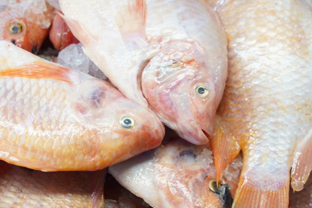 イースターの魚 ボゴタの保健省は 水銀含有量の高い種について警告しています Infobae