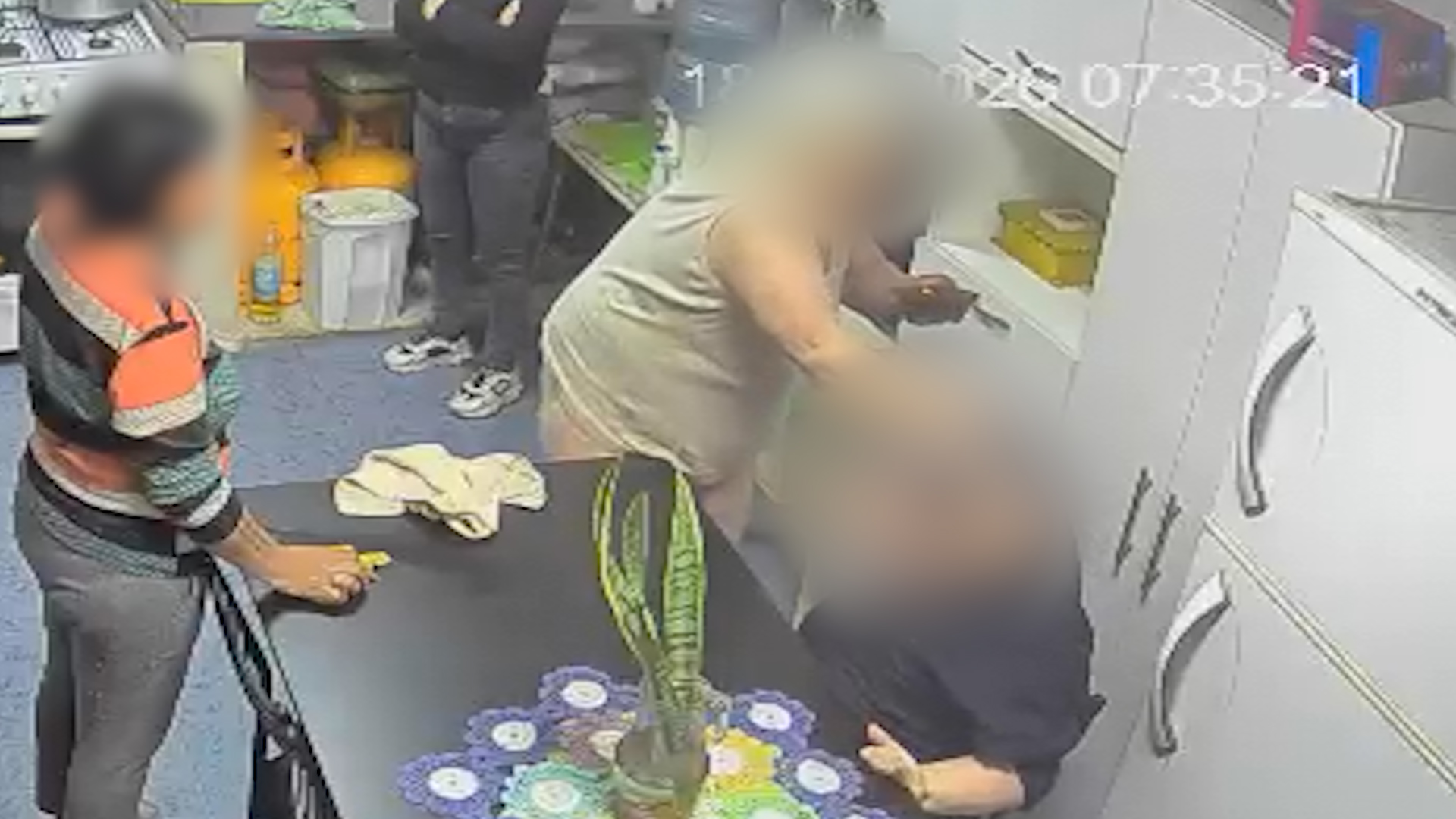 Video: denunciaron a una mujer de 71 años por maltratar y golpear con un palo a su hijo con síndrome de Down en Chaco