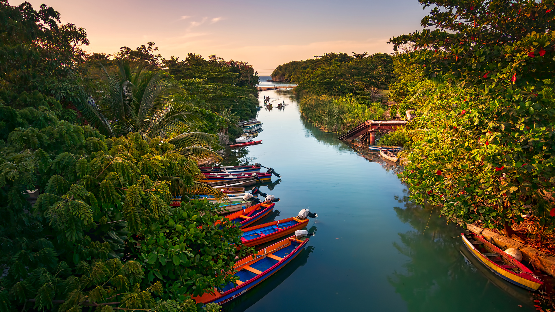 Jamaica virtual: una experiencia con todos los sentidos para disfrutar su  cultura - Infobae