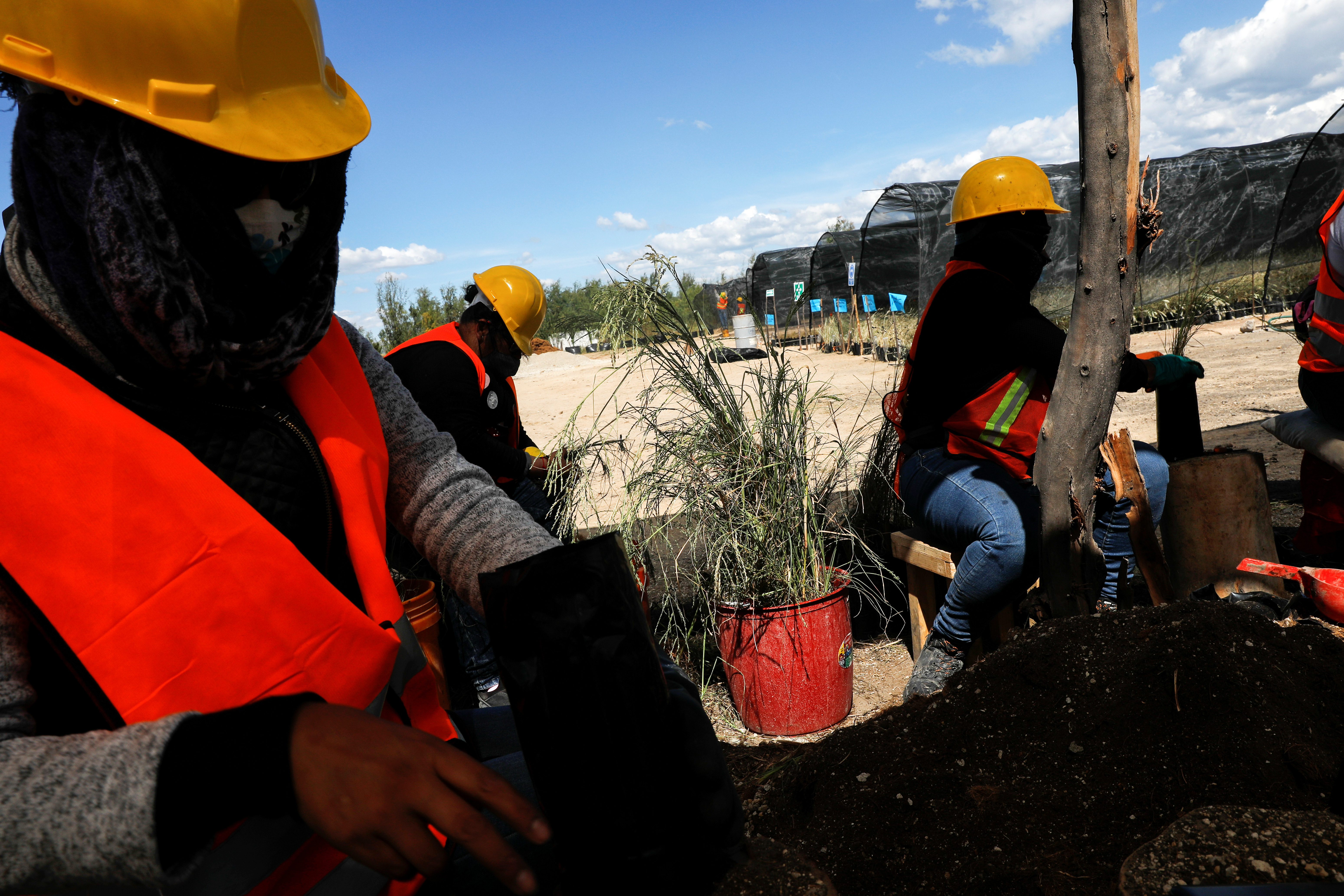 Trabajadores preparan plantas nativas en el centro de jardinería cerca de la zona cancelada del aeropuerto como parte de un proyecto para conservar 12,200 hectáreas de tierra en Texcoco en las afueras de la Ciudad de México, México, 3 de septiembre de 2020. Fotografía tomada el 3 de septiembre de 2020.