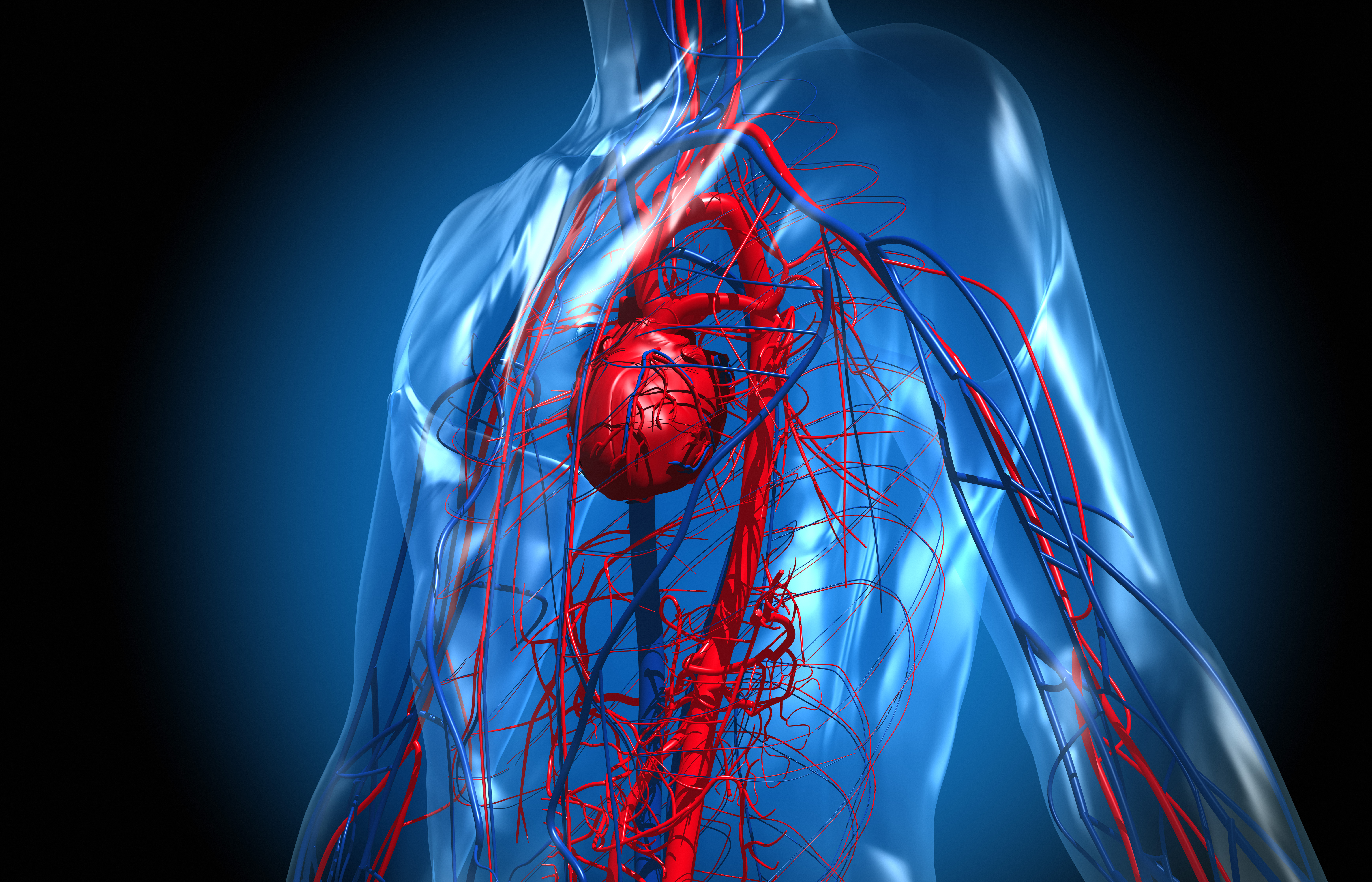 La conexión entre el corazón y el cerebro explica, en muchos pacientes, el origen de miocardiopatías luego de circunstancias estresantes (Getty)