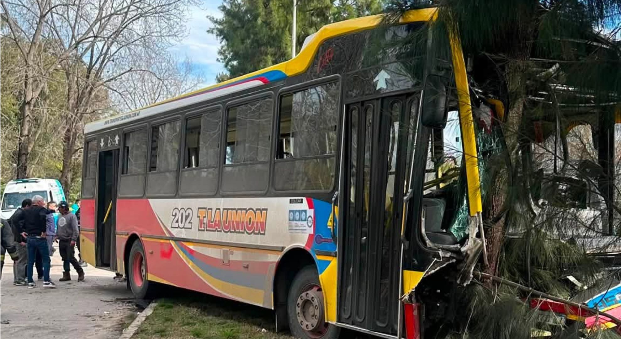 El momento en el que un colectivo se estrella contra un árbol tras un choque en Berisso: hubo más de 20 heridos