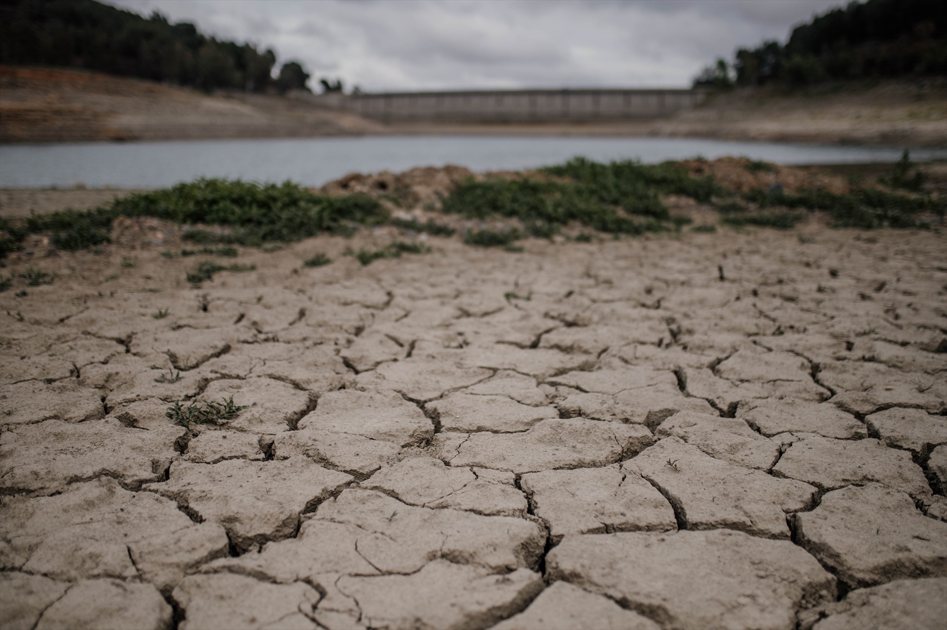 Agricultura intensiva, calor y falta de lluvias: el “cóctel explosivo” que seca los ríos de España