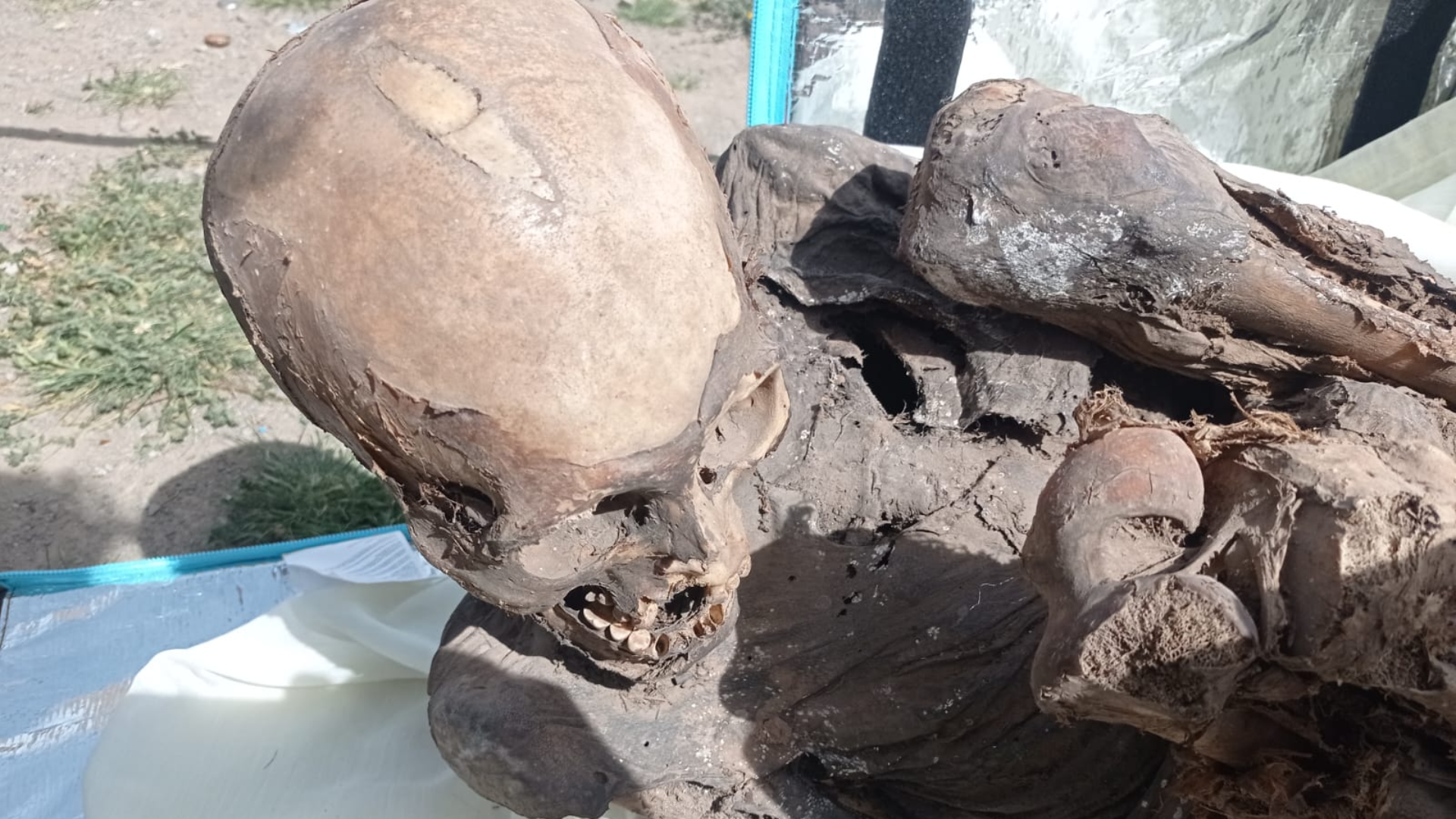 Momia prehispánica de 800 años fue hallada en bolsa de delivery de moto, en Puno