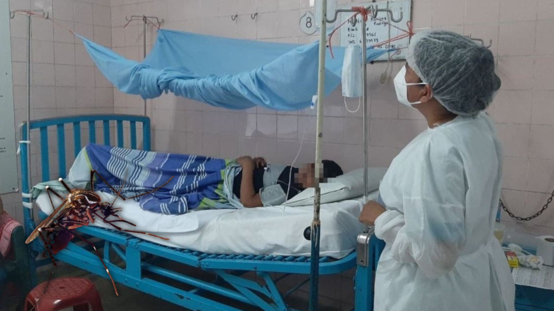 Las nuevas medidas para evitar el avance del dengue en el Perú