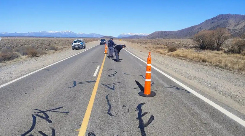 Trágica muerte en Neuquén: atropellaron y mataron a una mujer en la ruta 237 mientras hacía dedo