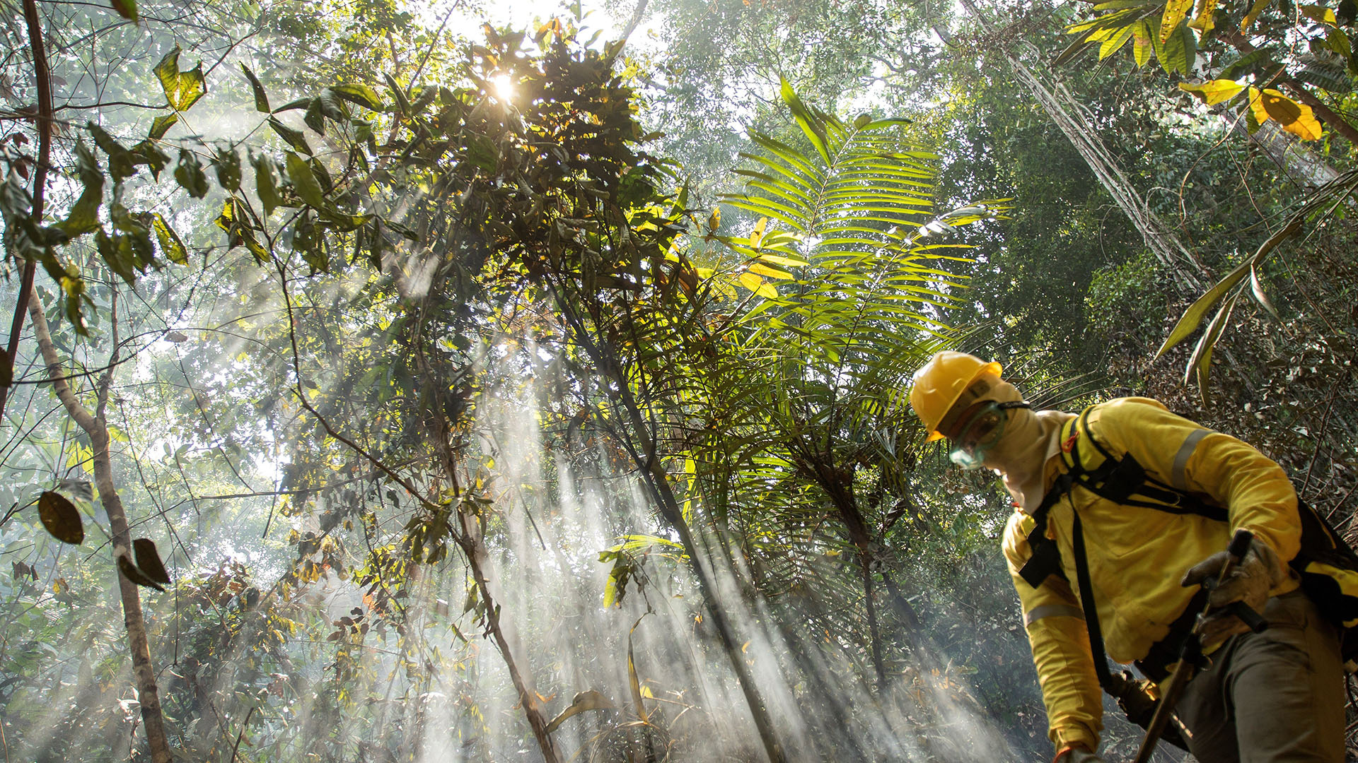 La deforestación de la selva amazónica responde por el 40 % de las emisiones de gases de Brasil y subraya la preocupación que existe en el mundo por el aumento de la tala de árboles y los incendios en esa región (EFE)