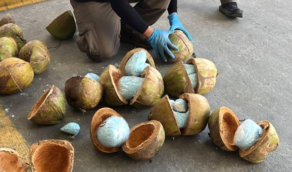 En cocos, neumáticos y alimento para perros: así trafican drogas sintéticas los cárteles mexicanos hacia Estados Unidos