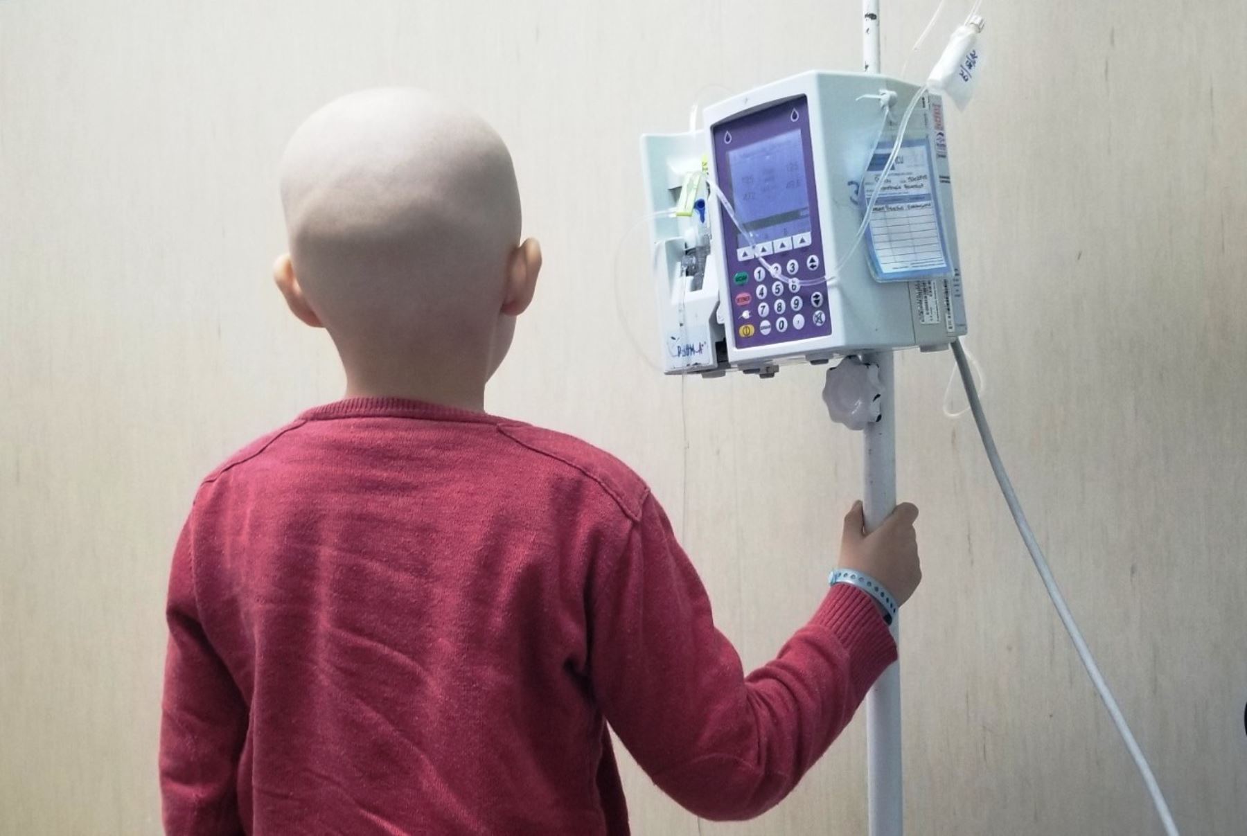 The most common types of cancer in children are leukemias, brain tumors, and solid tumors.  In general, compared to adults, they have greater tolerance to aggressive treatments and better recovery capacity (Photo: Andina)