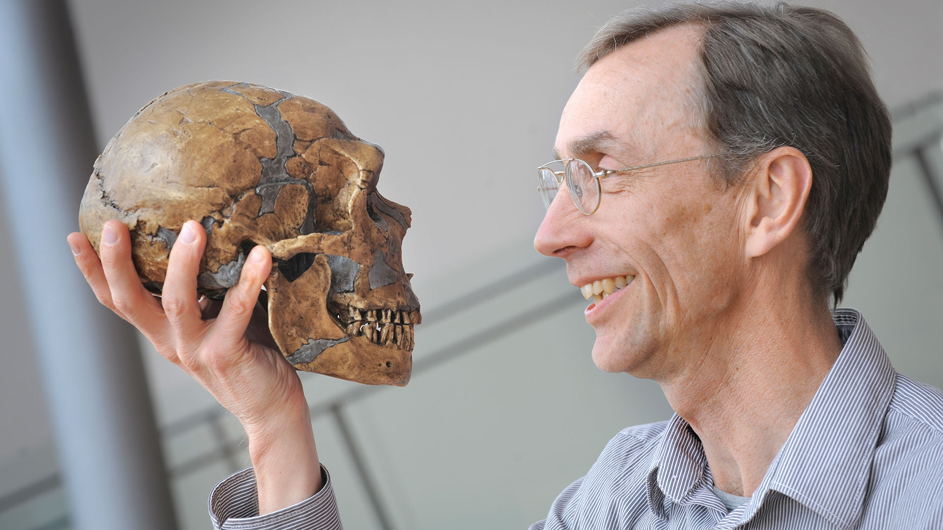 Los hallazgos del Nobel de Medicina 2022: reveló el ADN del neandertal y mostró qué diferencia a los humanos de sus ancestros